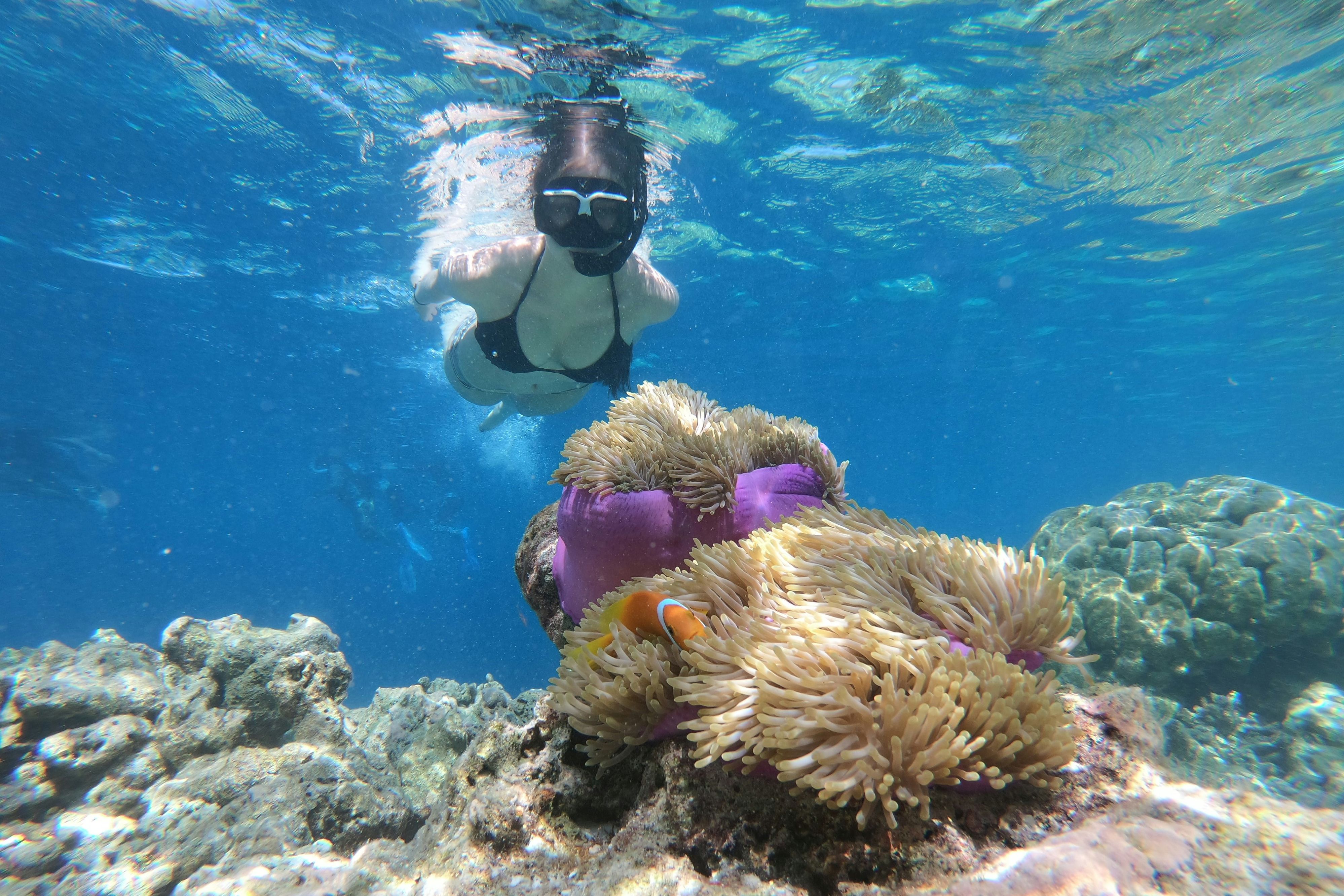 Thailand snorkelen