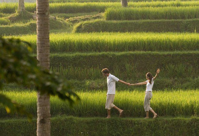 Wandelen in de rijstvelden op Bali, Indonesie