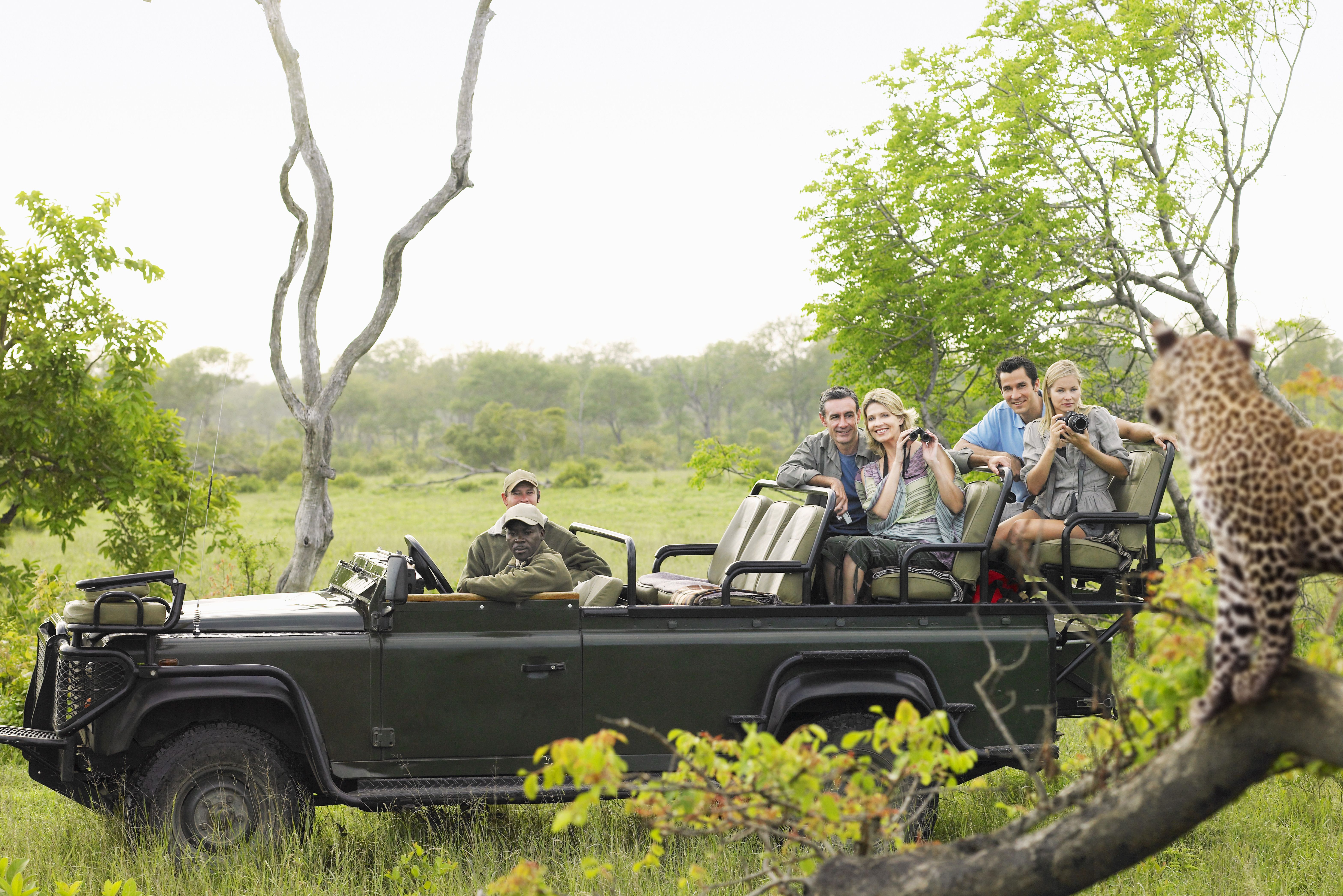 Luipaard tijdens Game Drive Zuid-Afrika