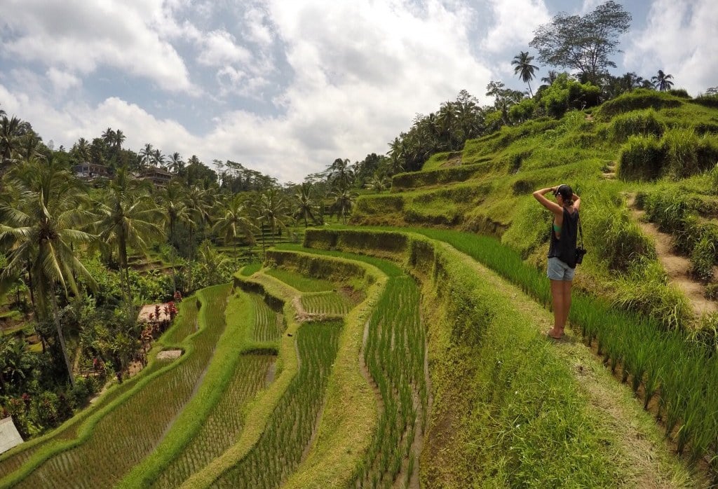 Wandelen in de rijstvelden rondom Ubud