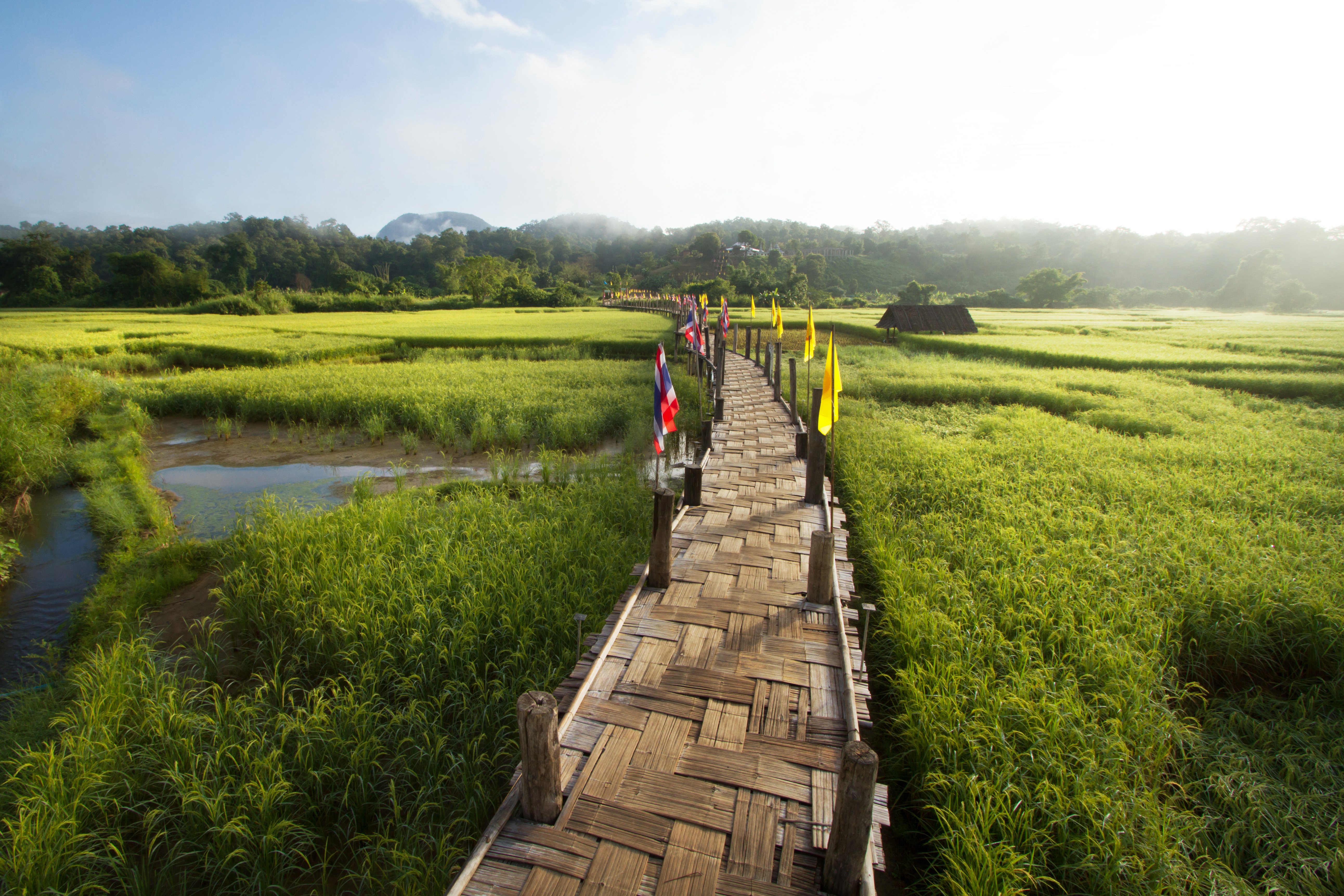 Bamboe brug in de provincie Mae Hong Son in Thailand