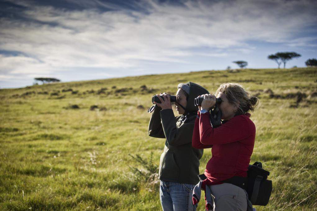 Three Tree Hill Lodge Drakensbergen Zuid Afrika