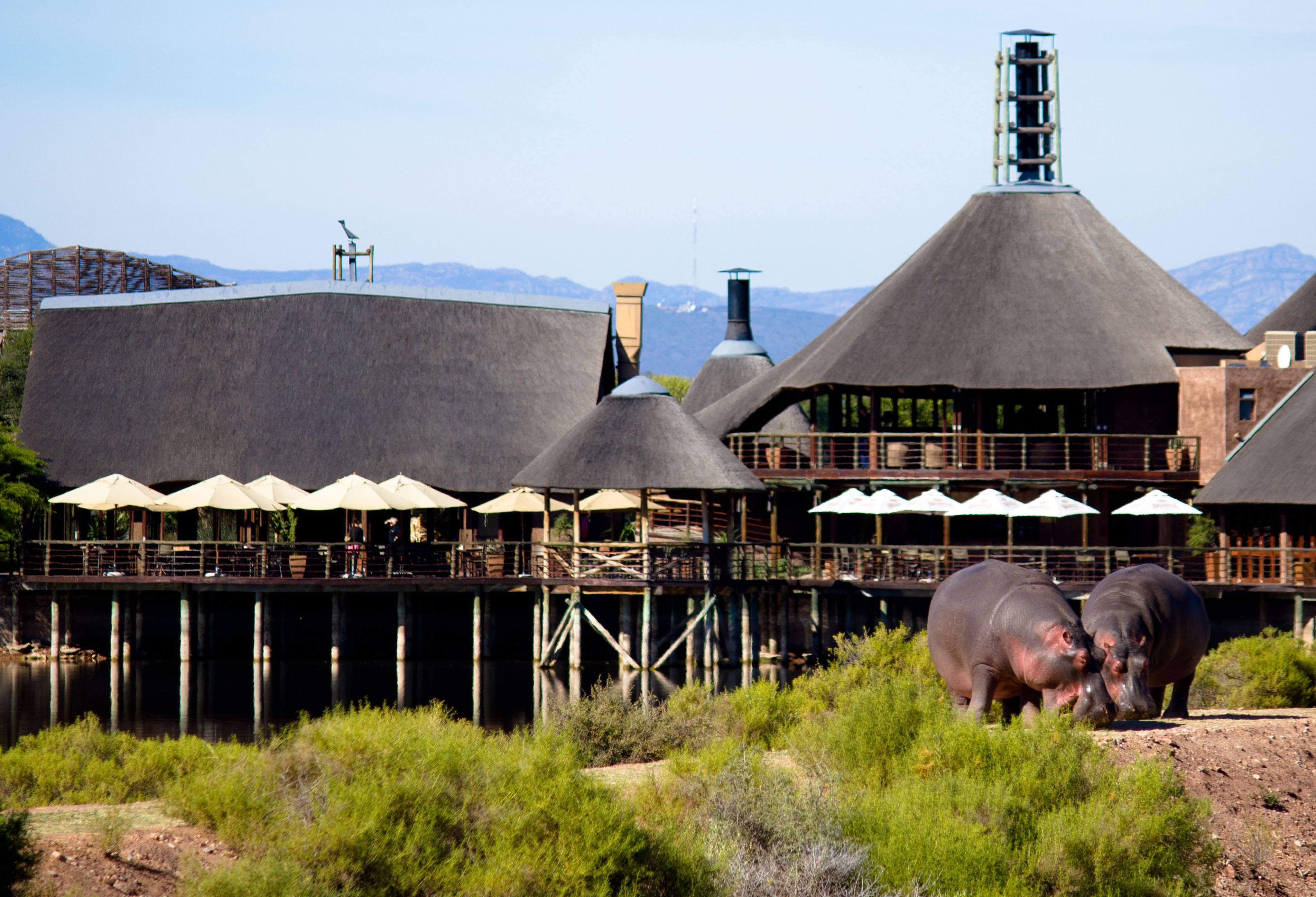 Buffelsdrift Lodge in Oudtshoorn Zuid Afrika