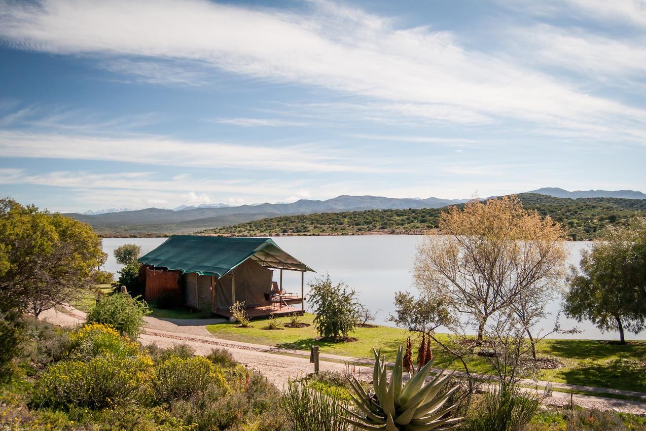 Buffelsdrift Lodge Oudtshoorn