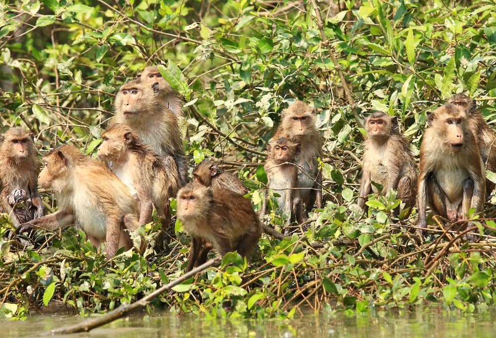 Bangkok, Khao Yai en Koh Samet