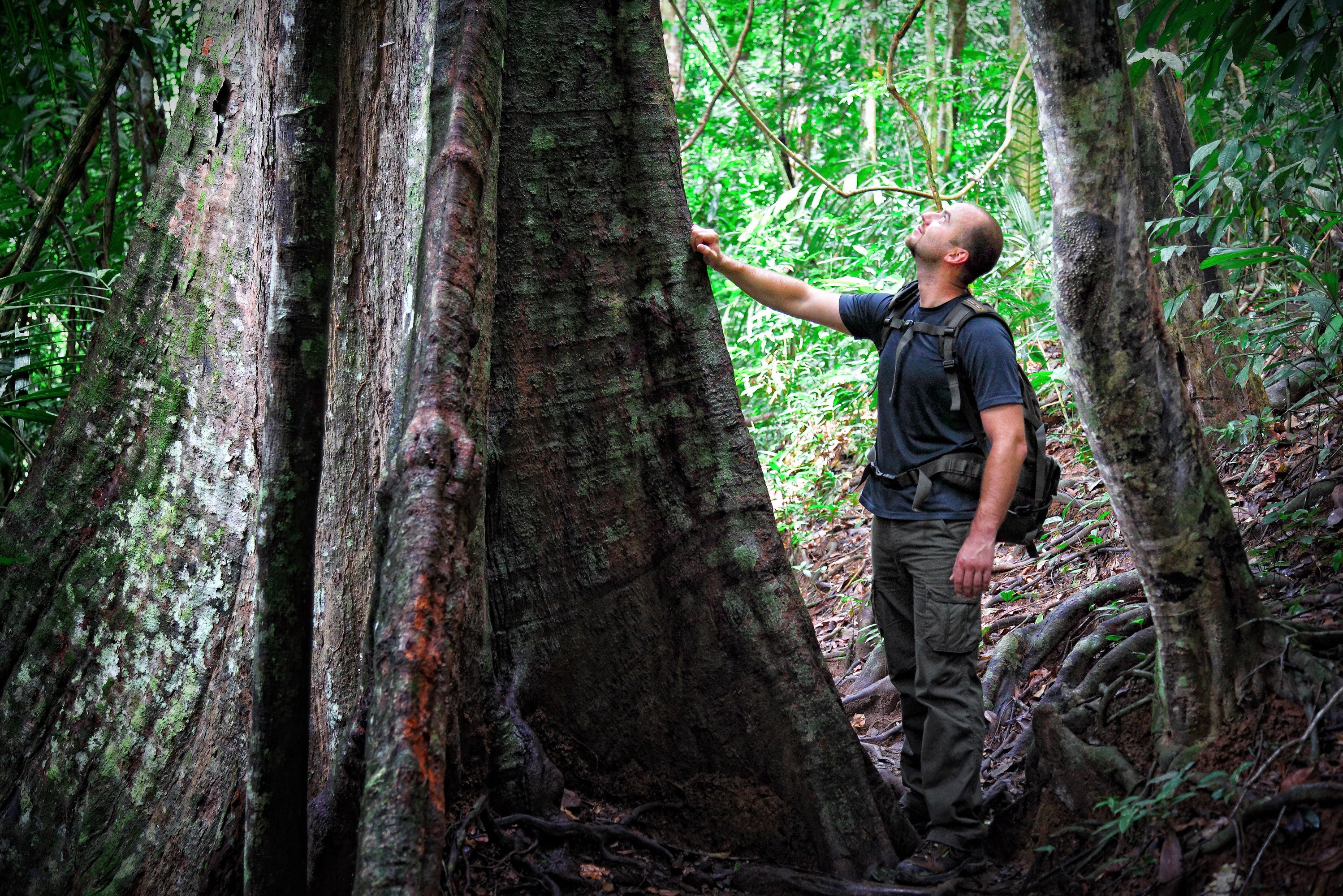 Jungle trekking in Taman Negara National Park