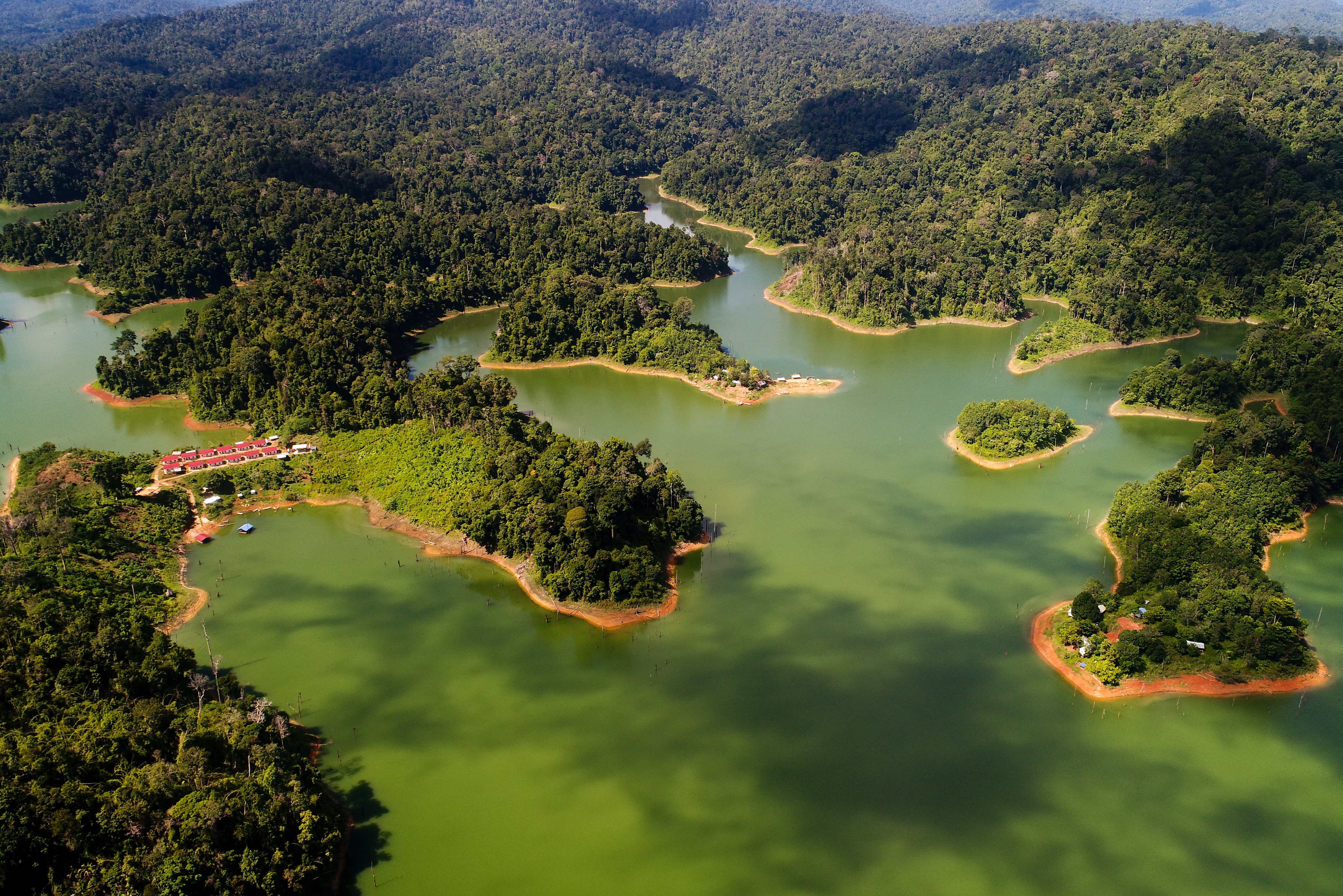 Belum Rainforest Reserve Maleisie