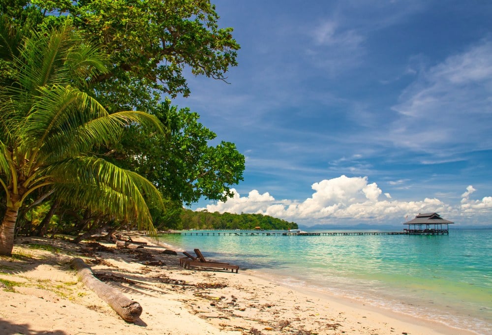 Sabah: Highlights &amp; jungle van Borneo