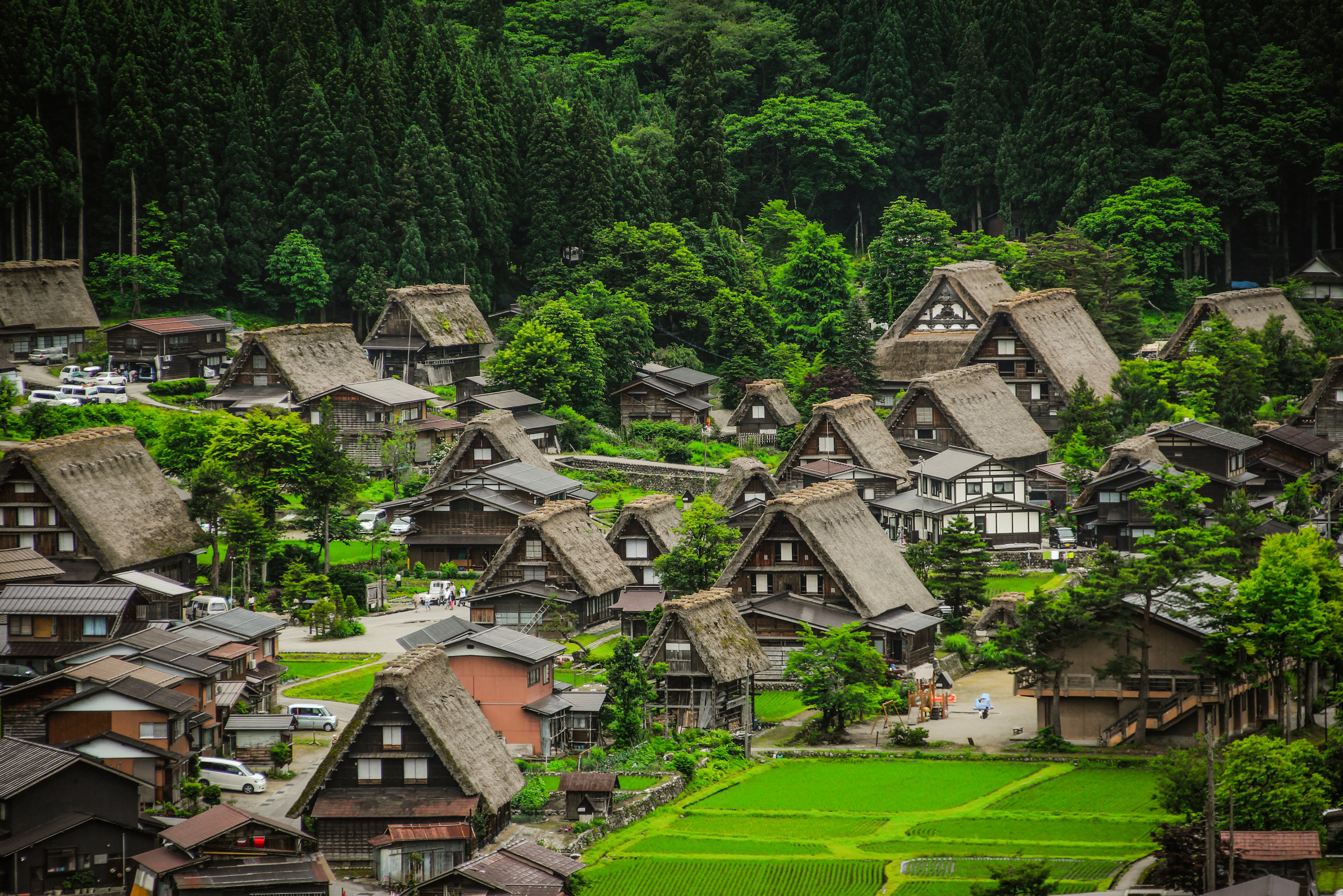 De rietenhuizen van Gassho Zukuri in Gokayama in Japan