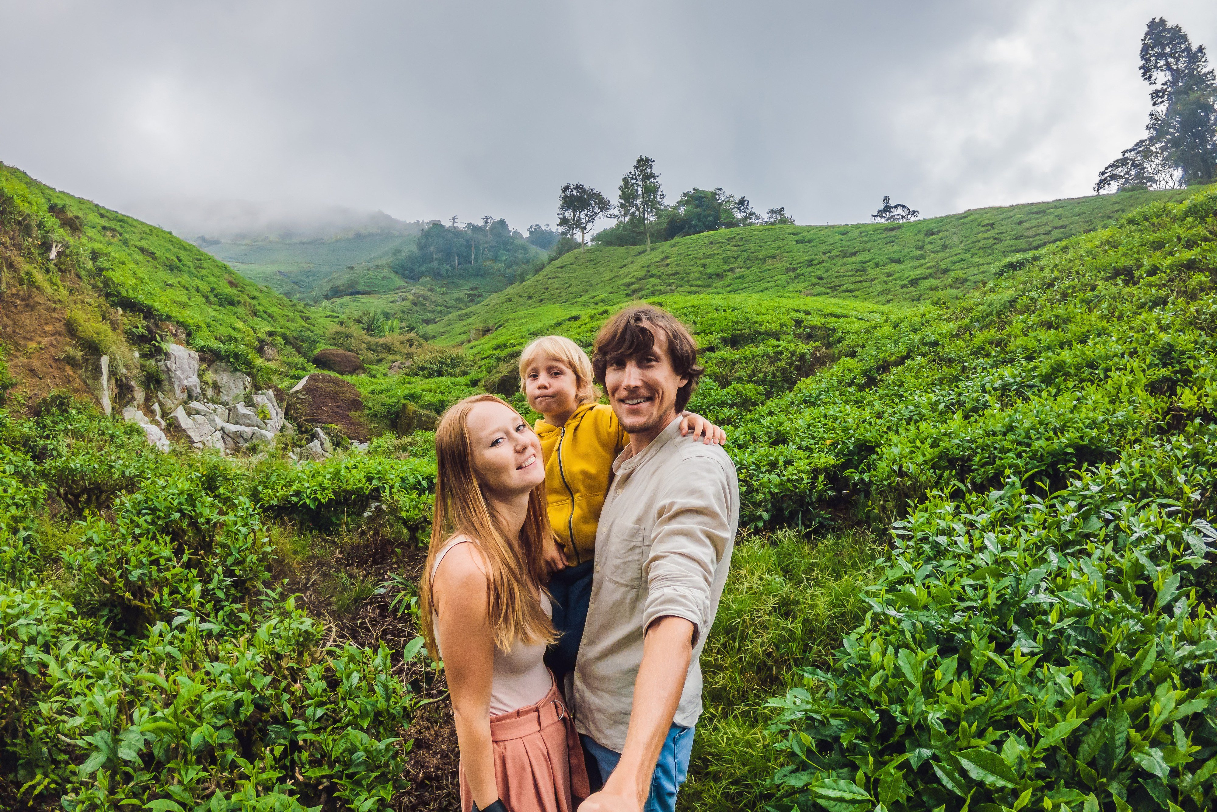 Familie in de theeplantages van de Cameron Highlands