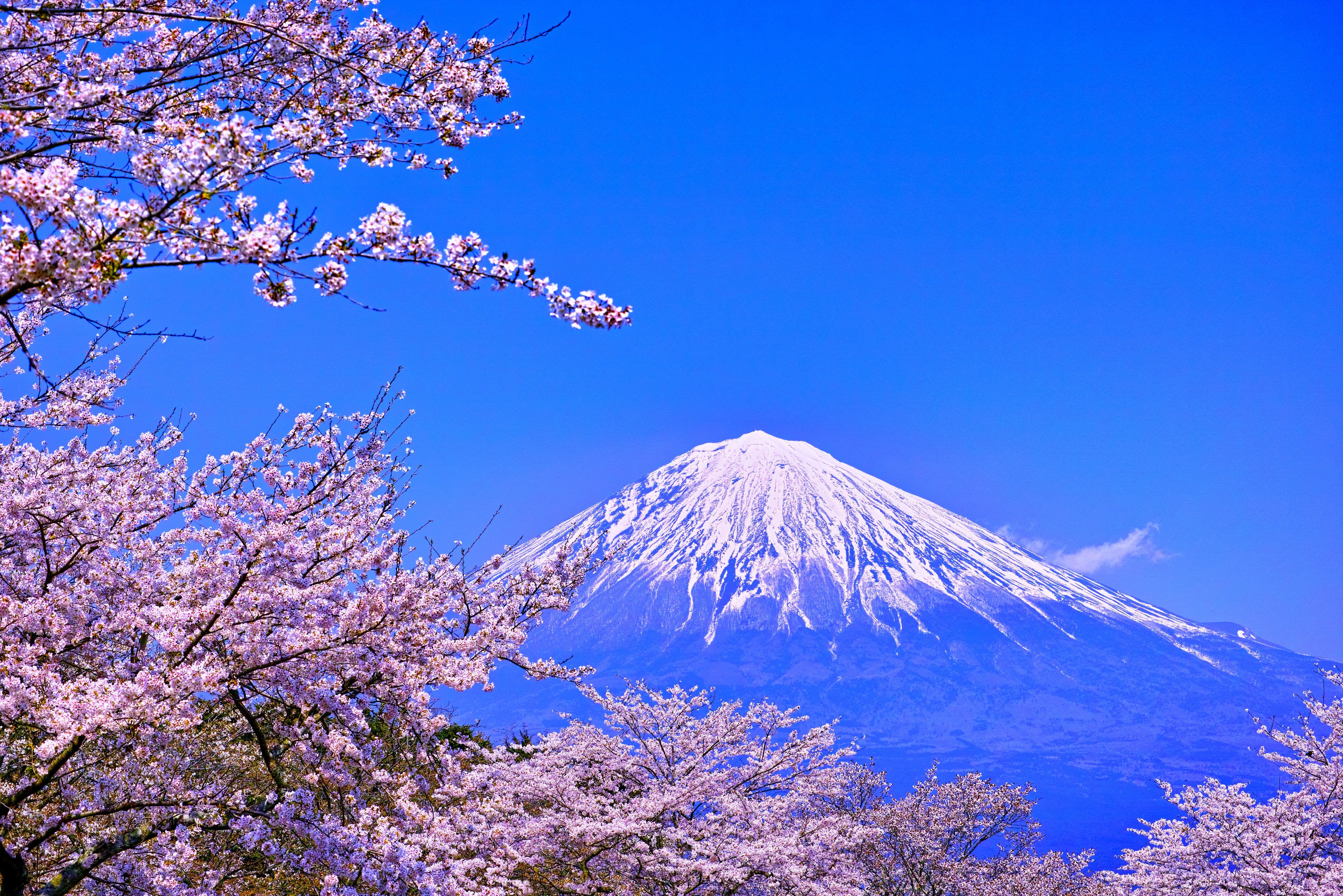 De heilige Mount Fuji in Japan