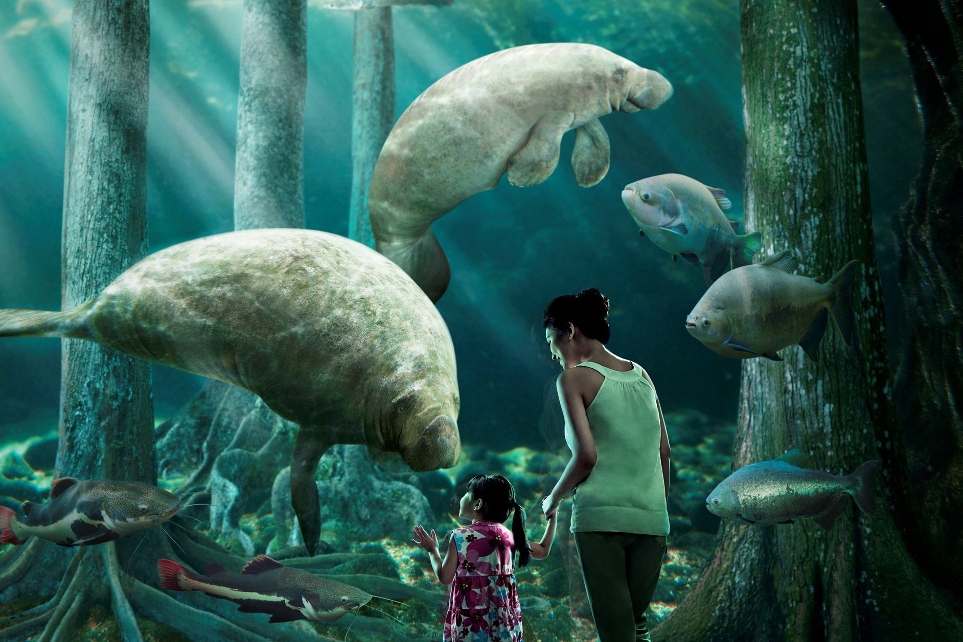 Rivier safari in Singapore Zoo