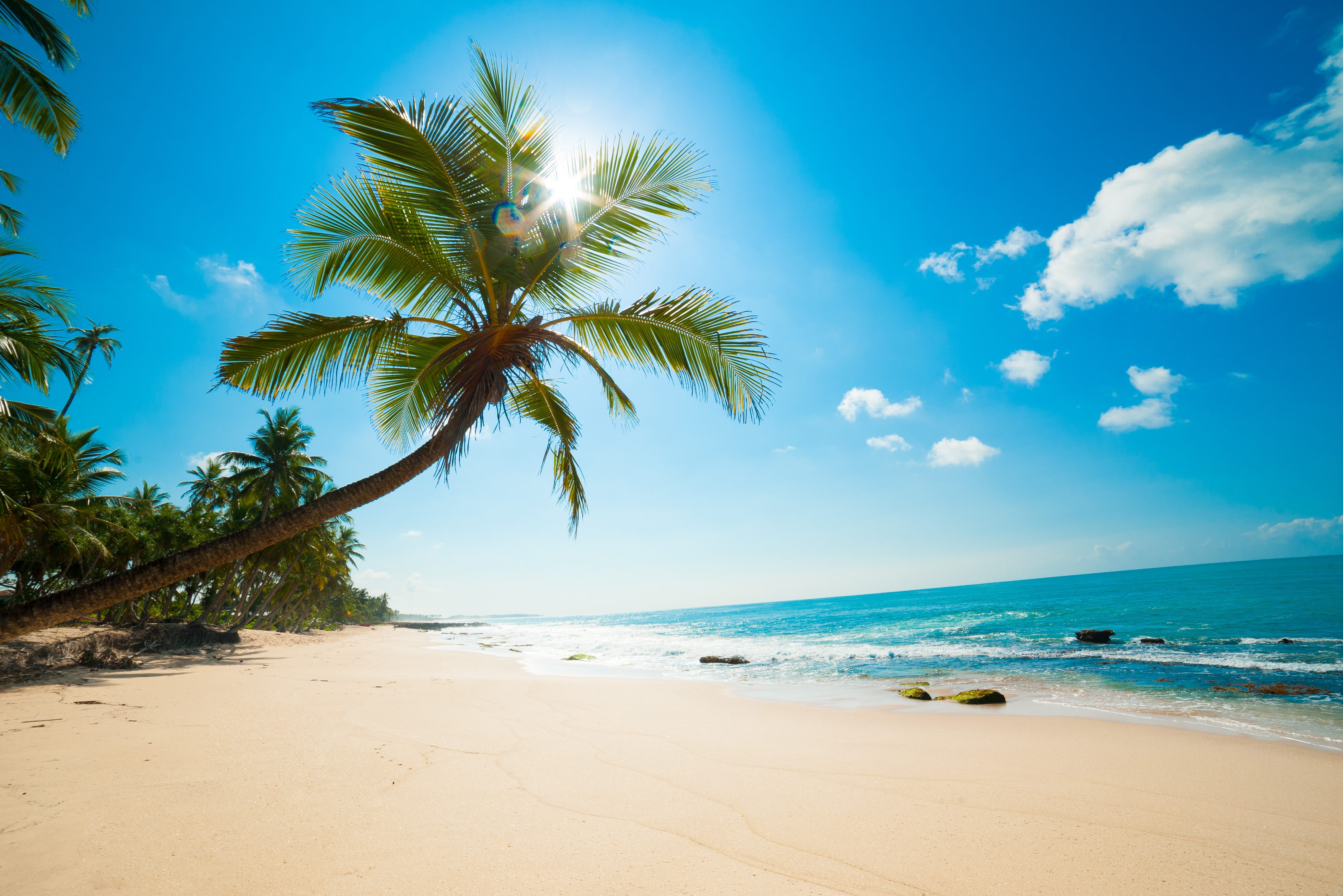 Mooi strand Sri Lanka