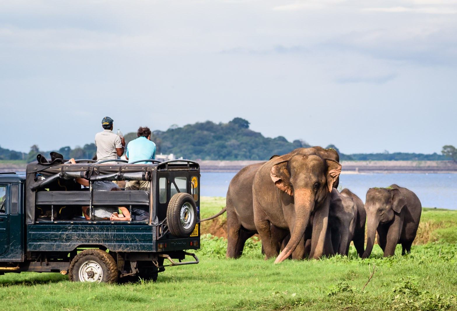 Game drive in Sri Lanka in Yala