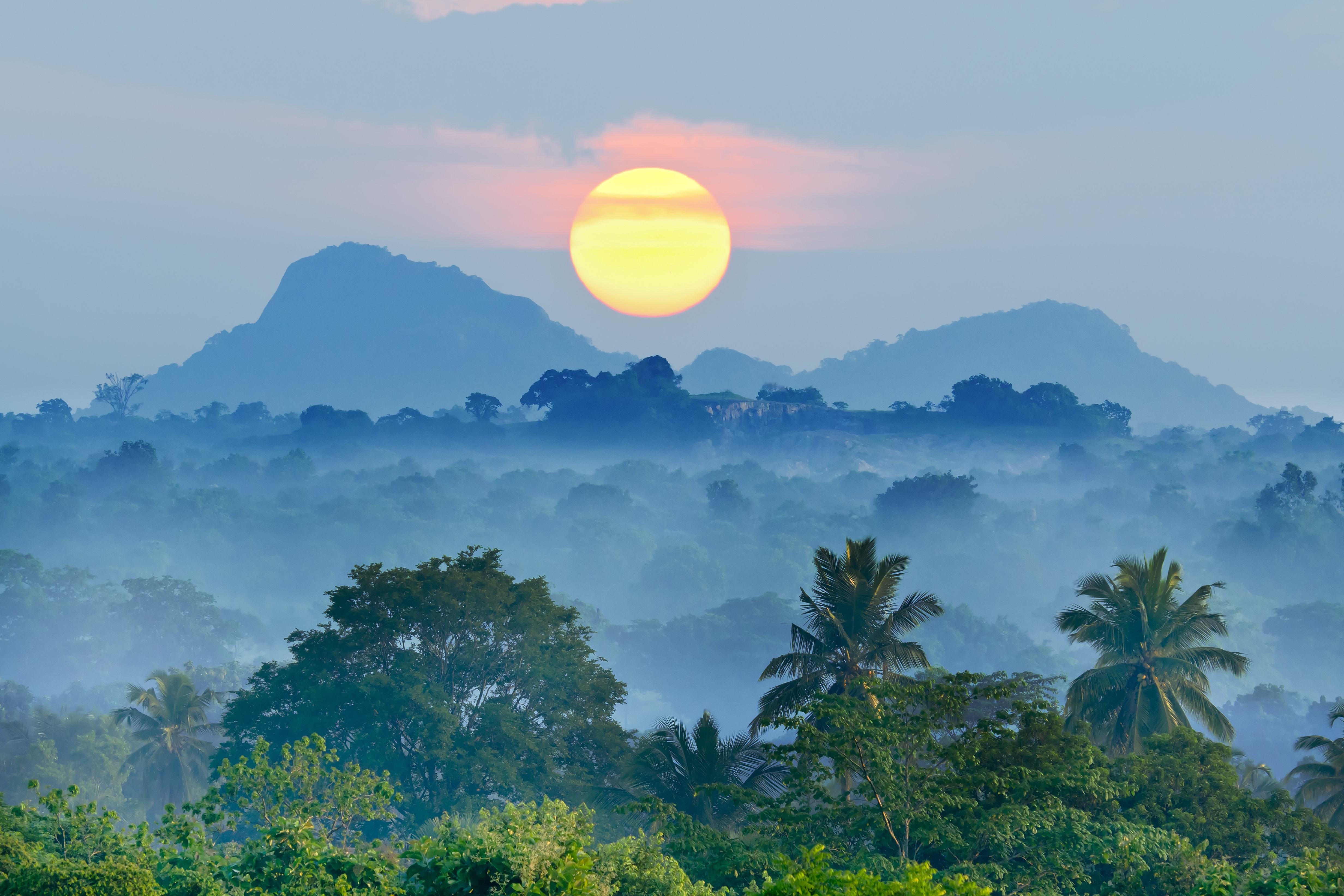 Zonsopgang in de jungle van Sri Lanka