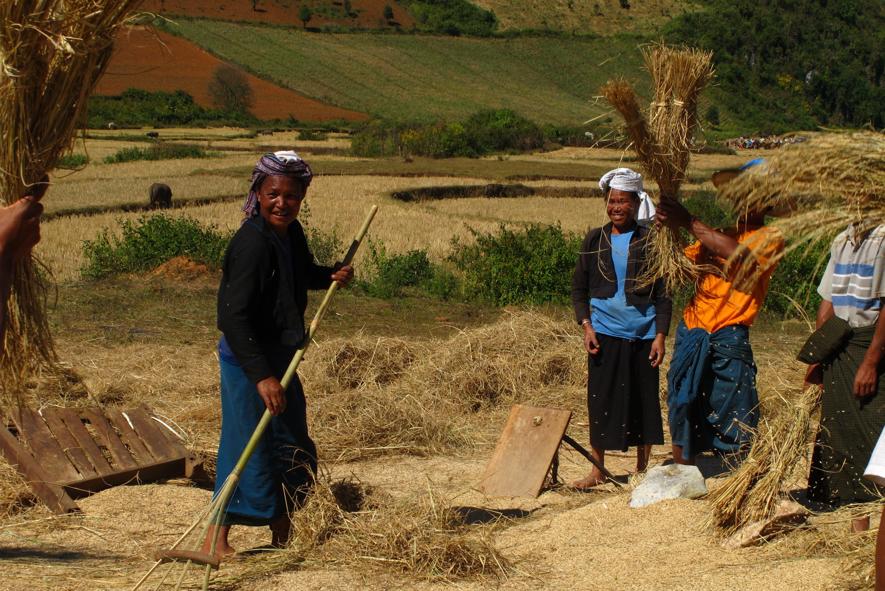Trekking bij Pindaya in Myanmar