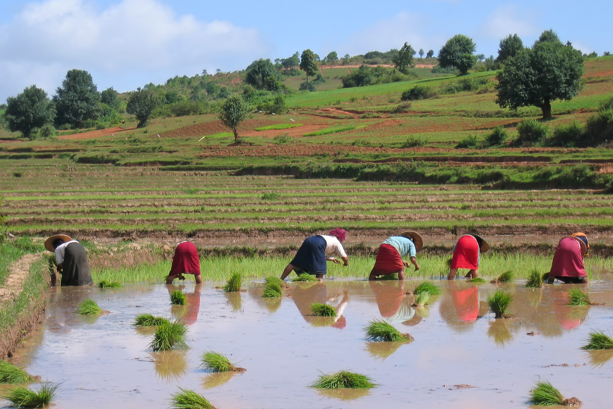 Trekking in Kalaw Myanmar