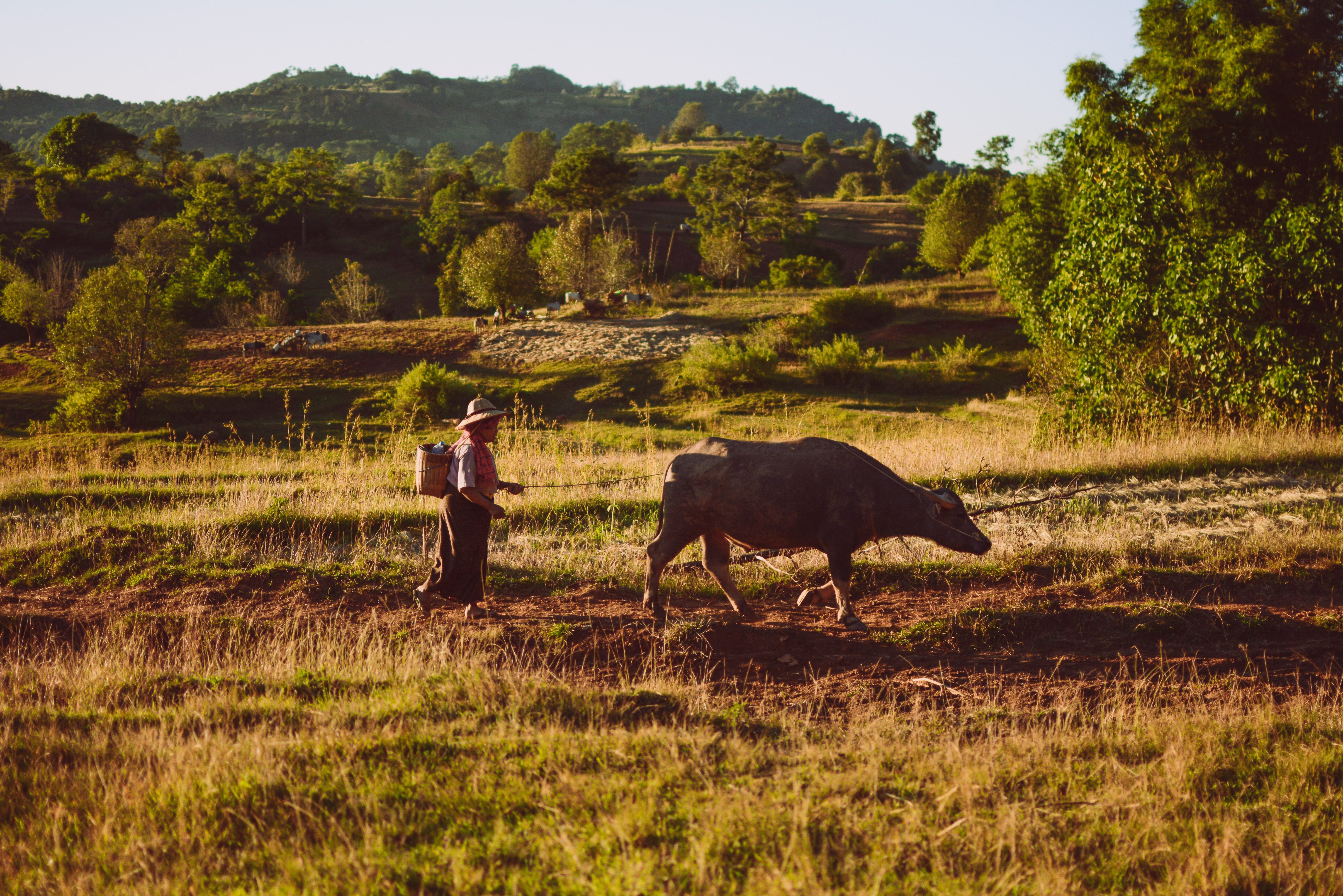 Trekking in Kalaw Myanmar
