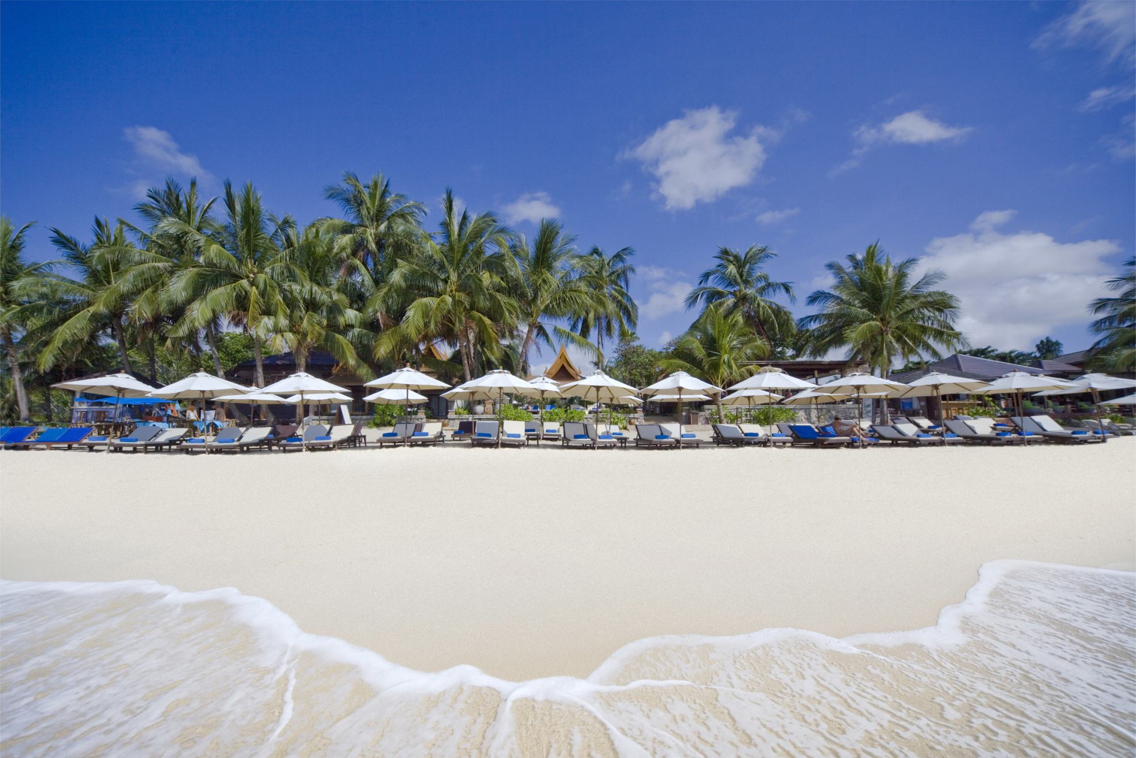 Thai Beach House Koh Samui Thailand