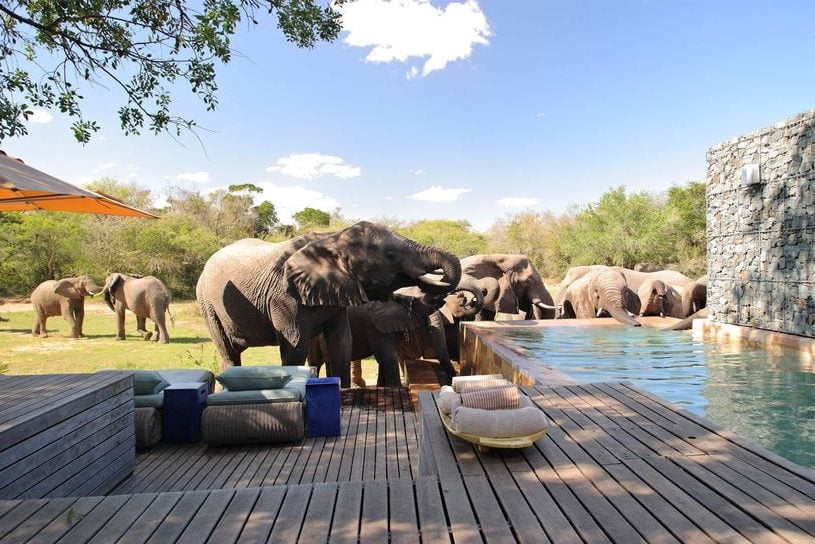 zwembad van phinda private game reserve in zuid afrika