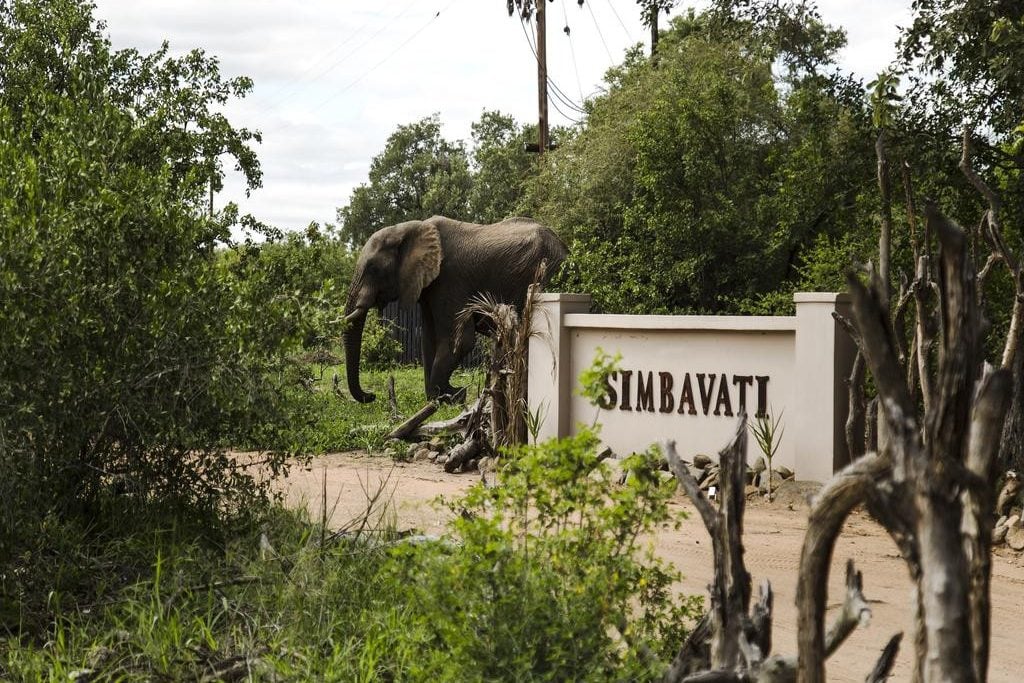 ingang van simbavati river lodge in zuid afrika