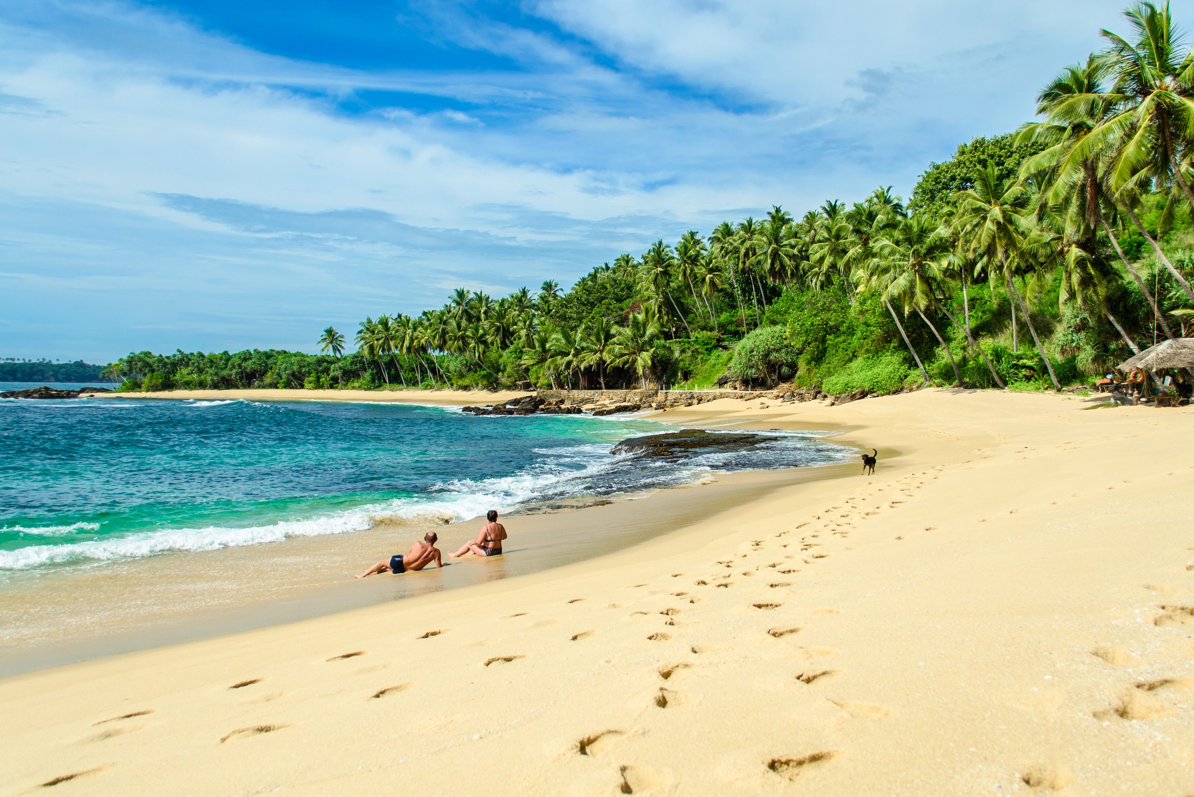 Tropisch strand in Sri Lanka