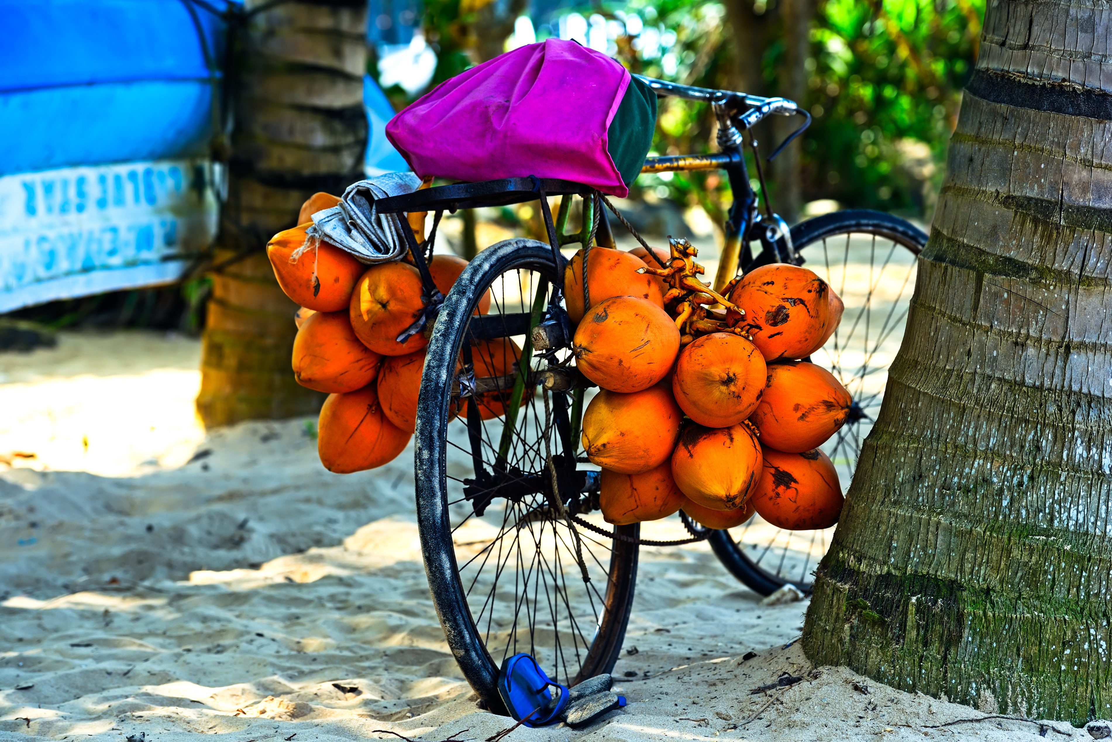 Fiets met kokosnoten in Sri Lanka