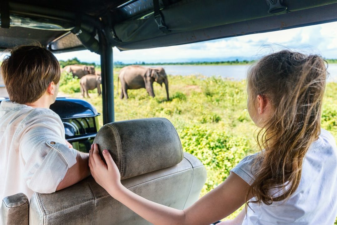 Game drive in Yala tijdens familiereis Sri Lanka