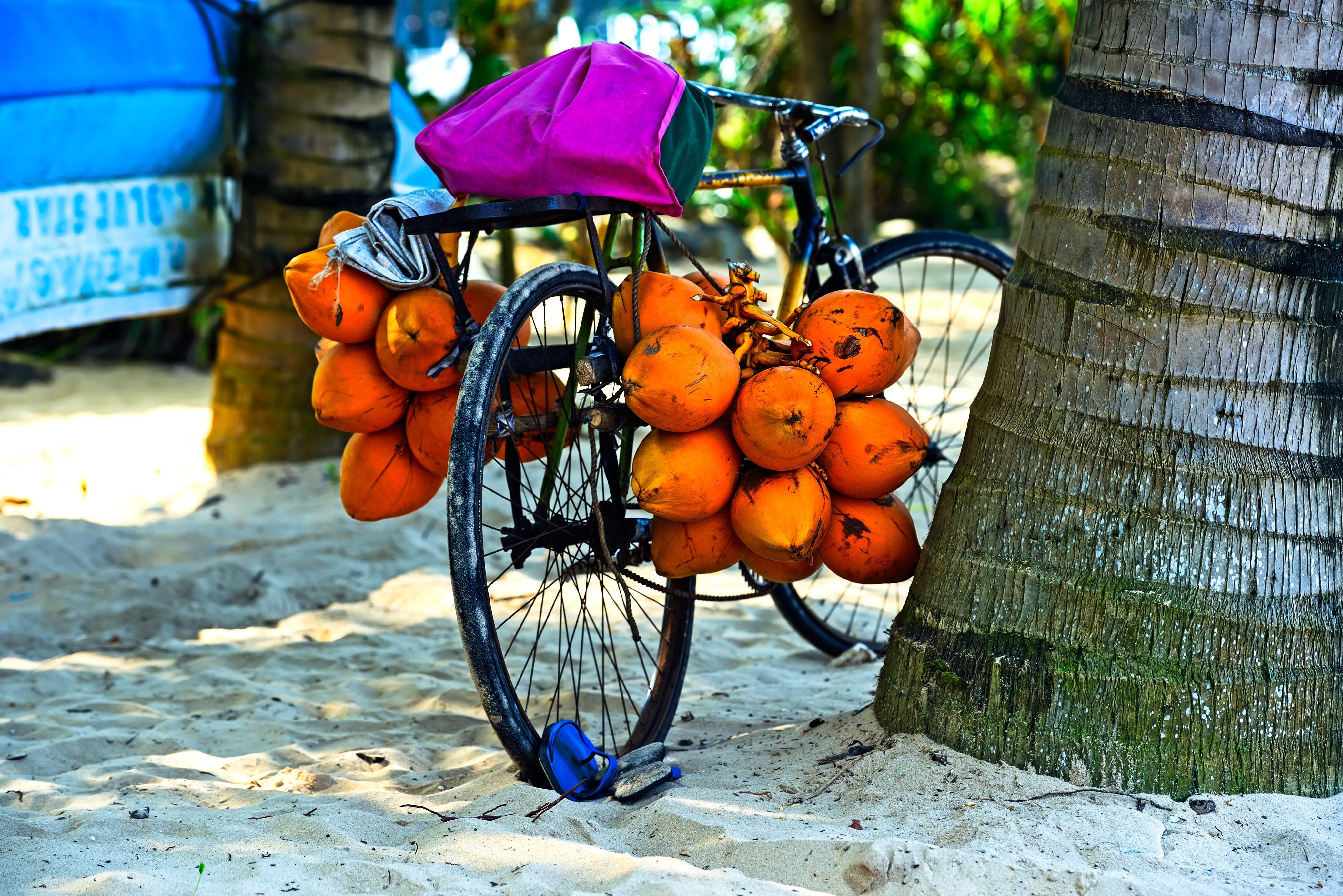 Fiets in Anuradhnapura