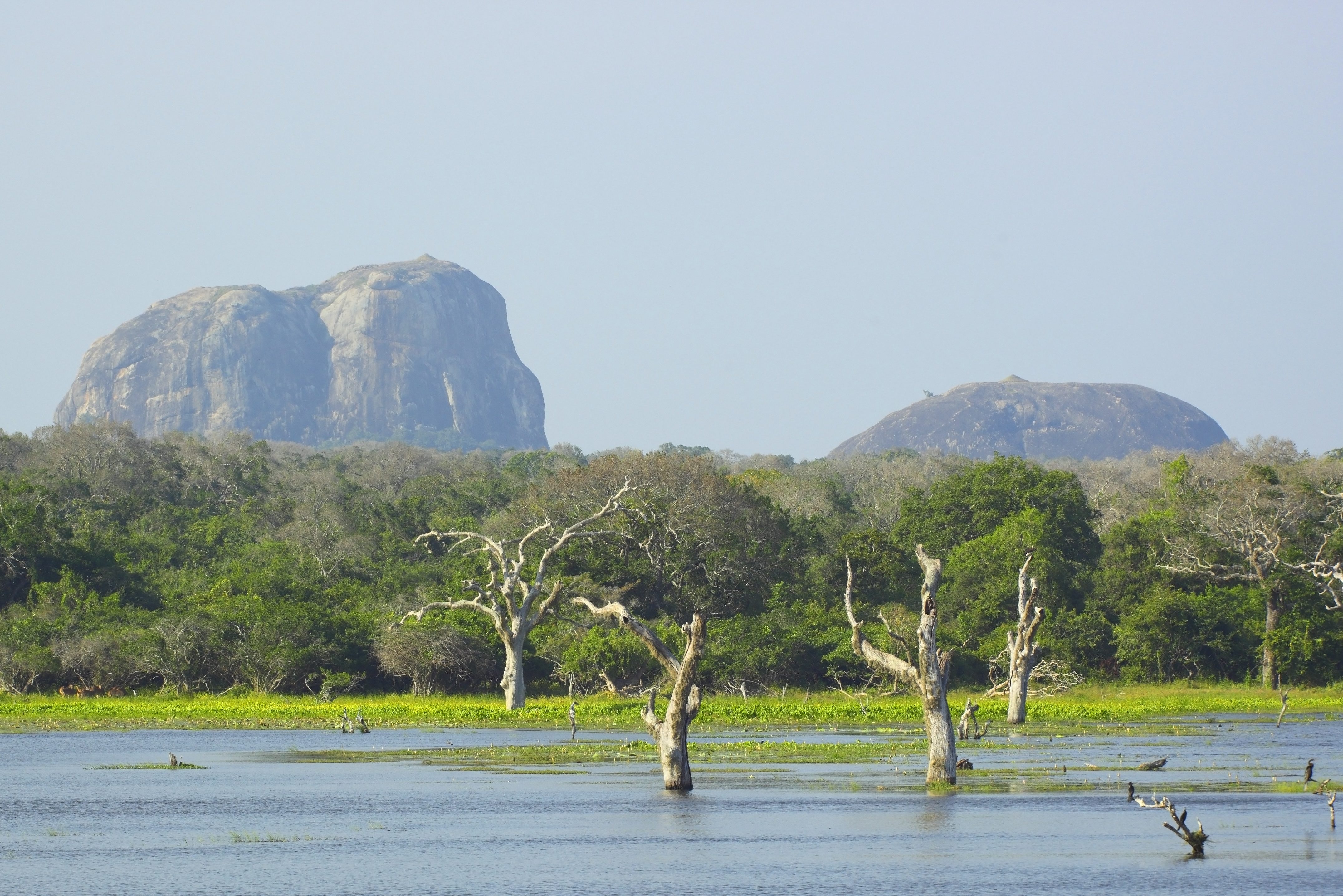 Yala National Park in het zuiden van Sri Lanka