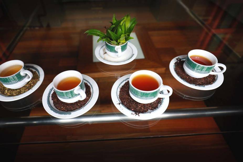 Thee proeverij in de Tea factory hotel Nuwara Eliya