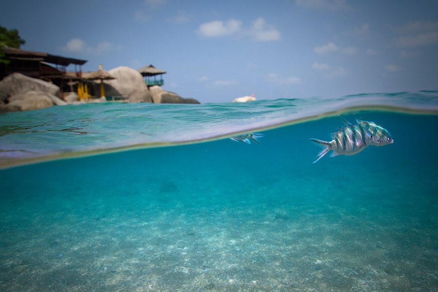 Haad Tien Resort Castaway Beach in Koh Tao Thailand