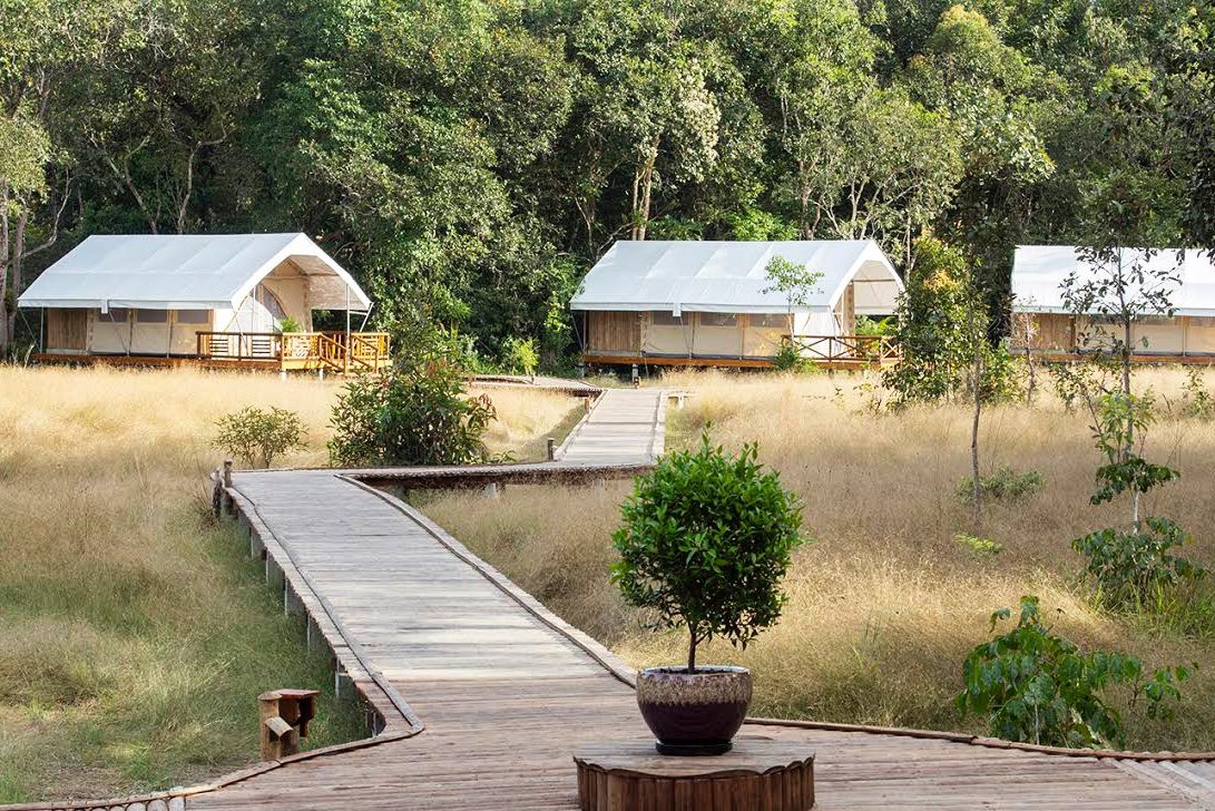 Cardamom Tented Camp in de Cardamom Mountains, Cambodja