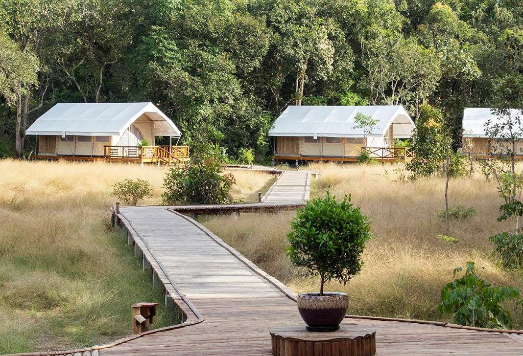 Cardamom Tented Camp in de Cardamom Mountains, Cambodja