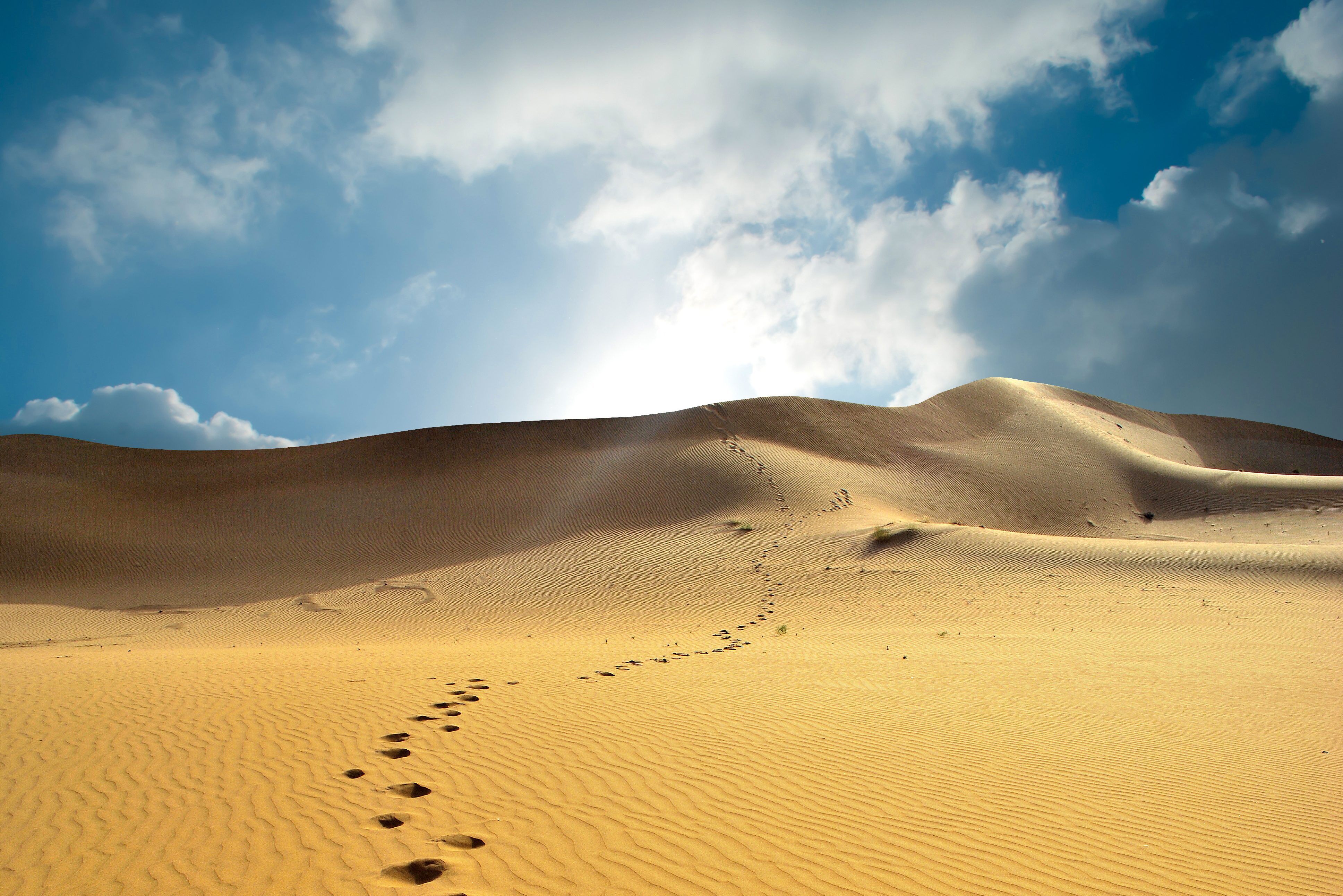 Thar woestijn in Rajasthan India