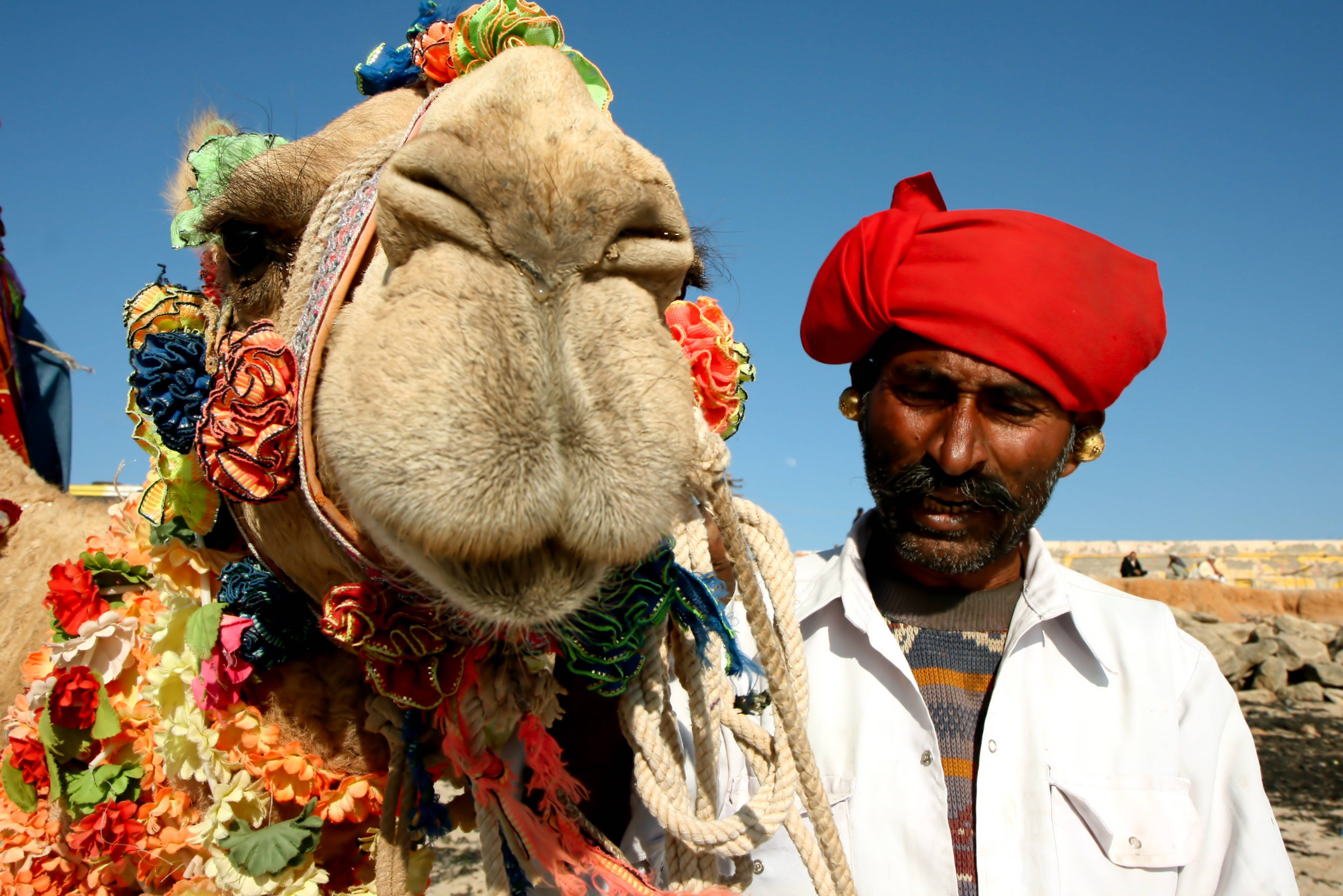 Een man met zijn kameel in Rajasthan India