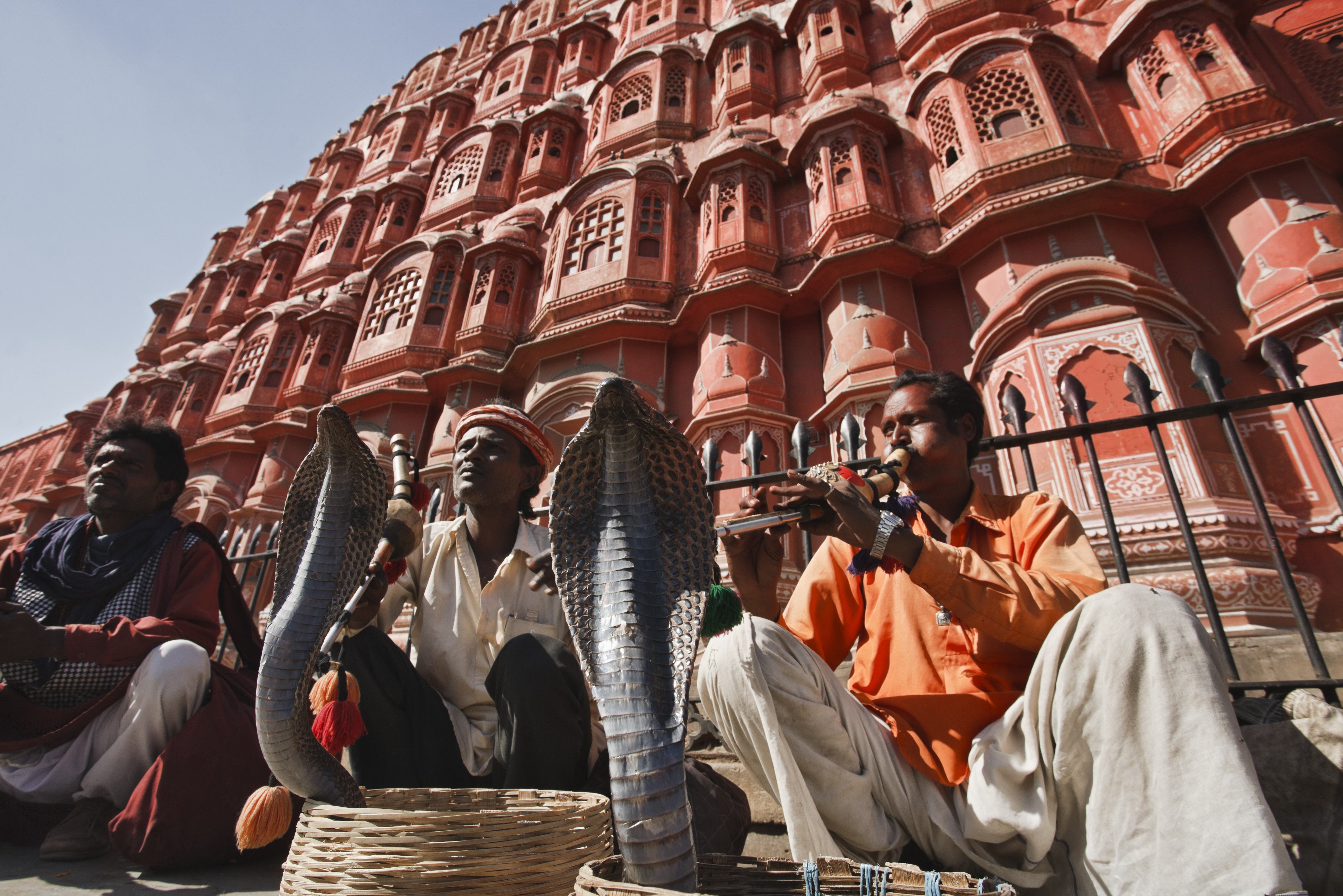 Slangenbezweerders in Jaipur
