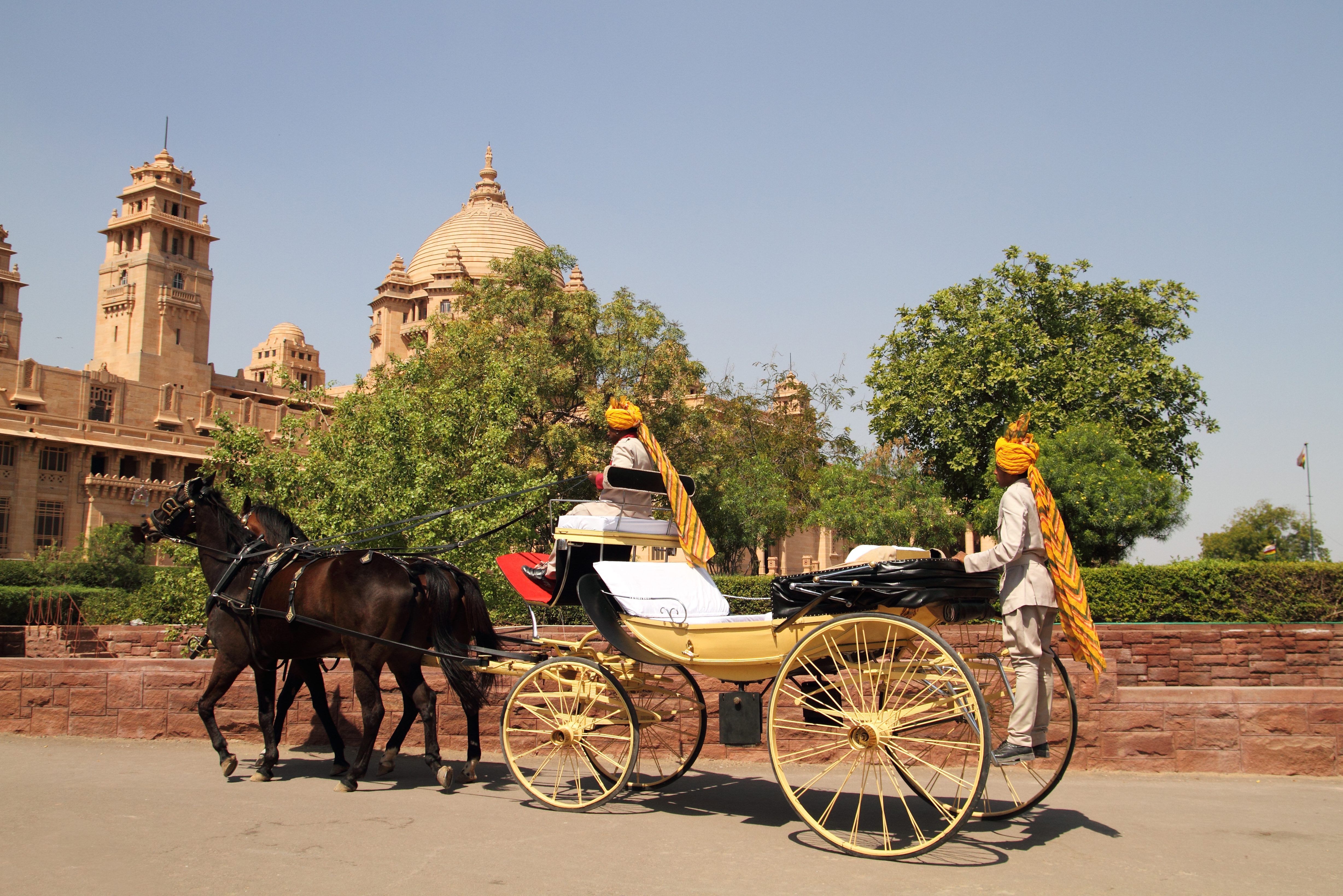 Rit per tonga in Bikaner