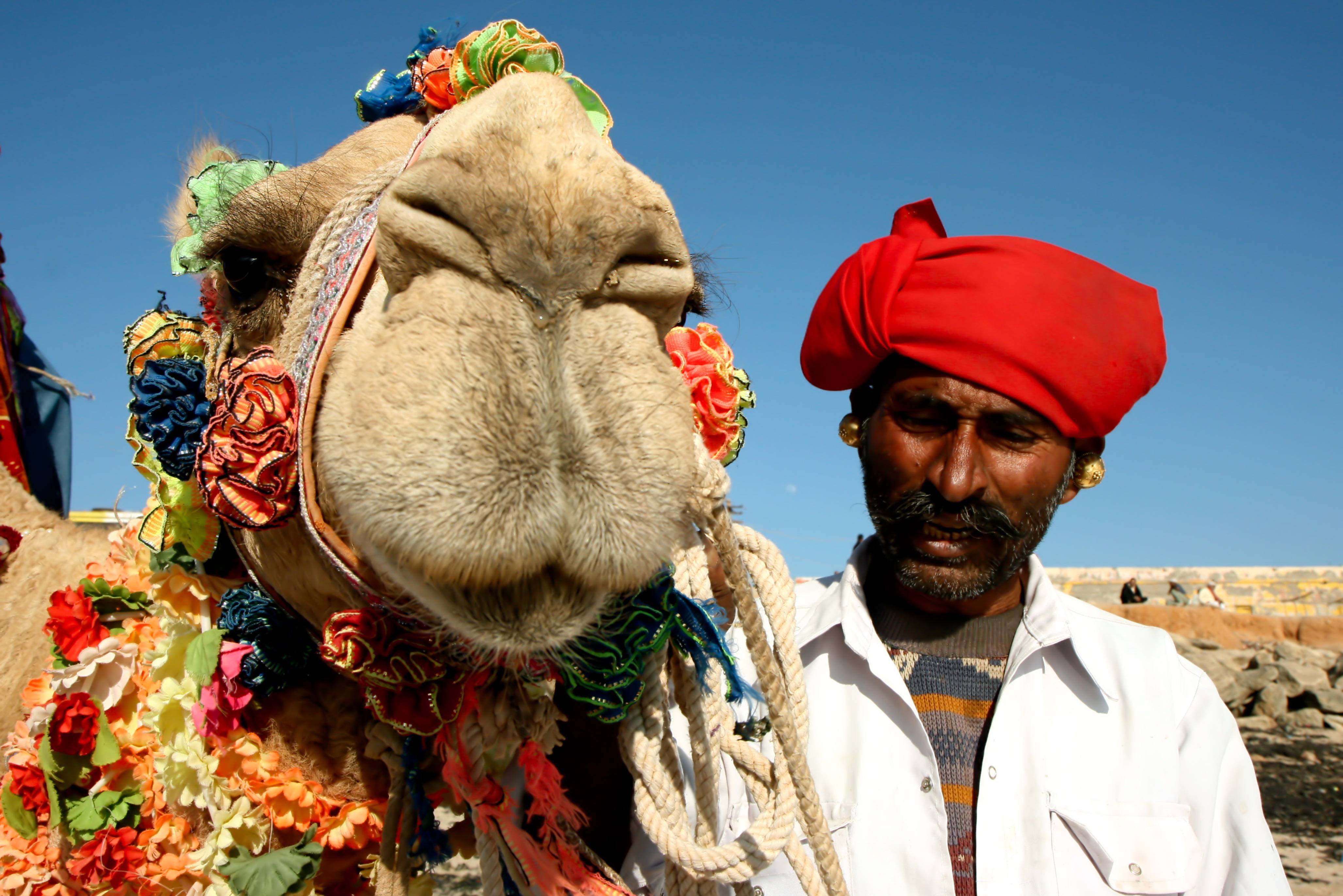 Man met kameel in Pushkar