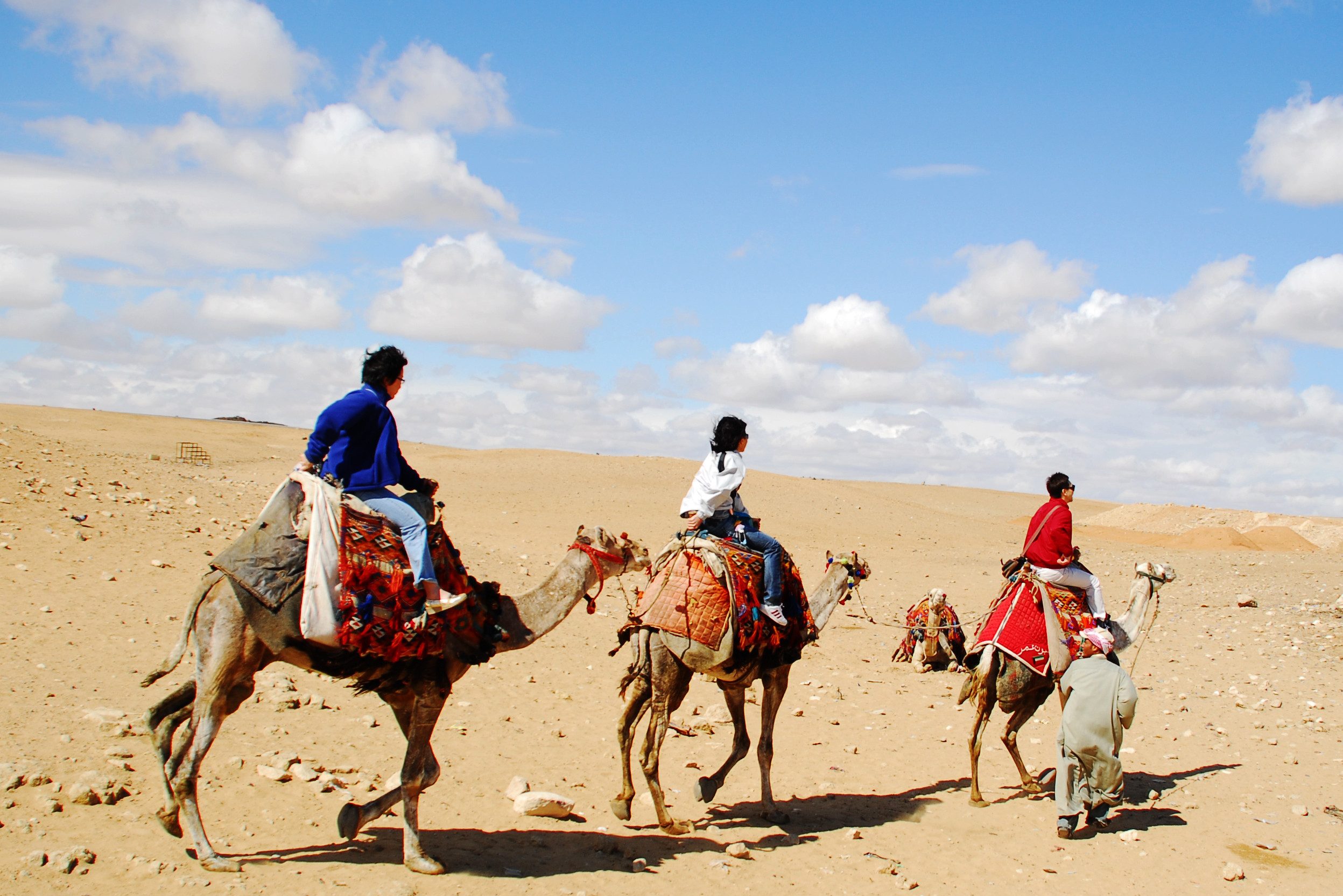 Kamelen tocht bij de Sam Dunes in India