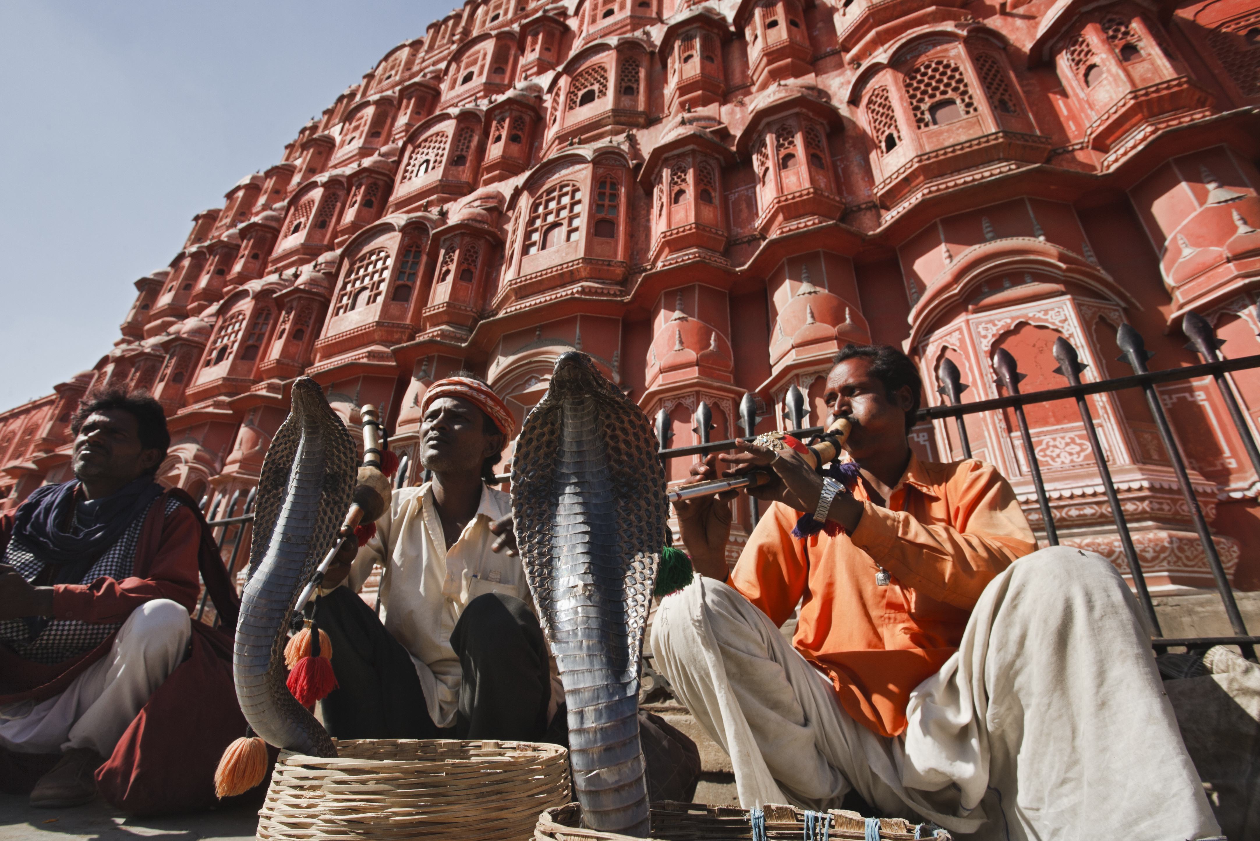 Slangenbezweerder in Jaipur