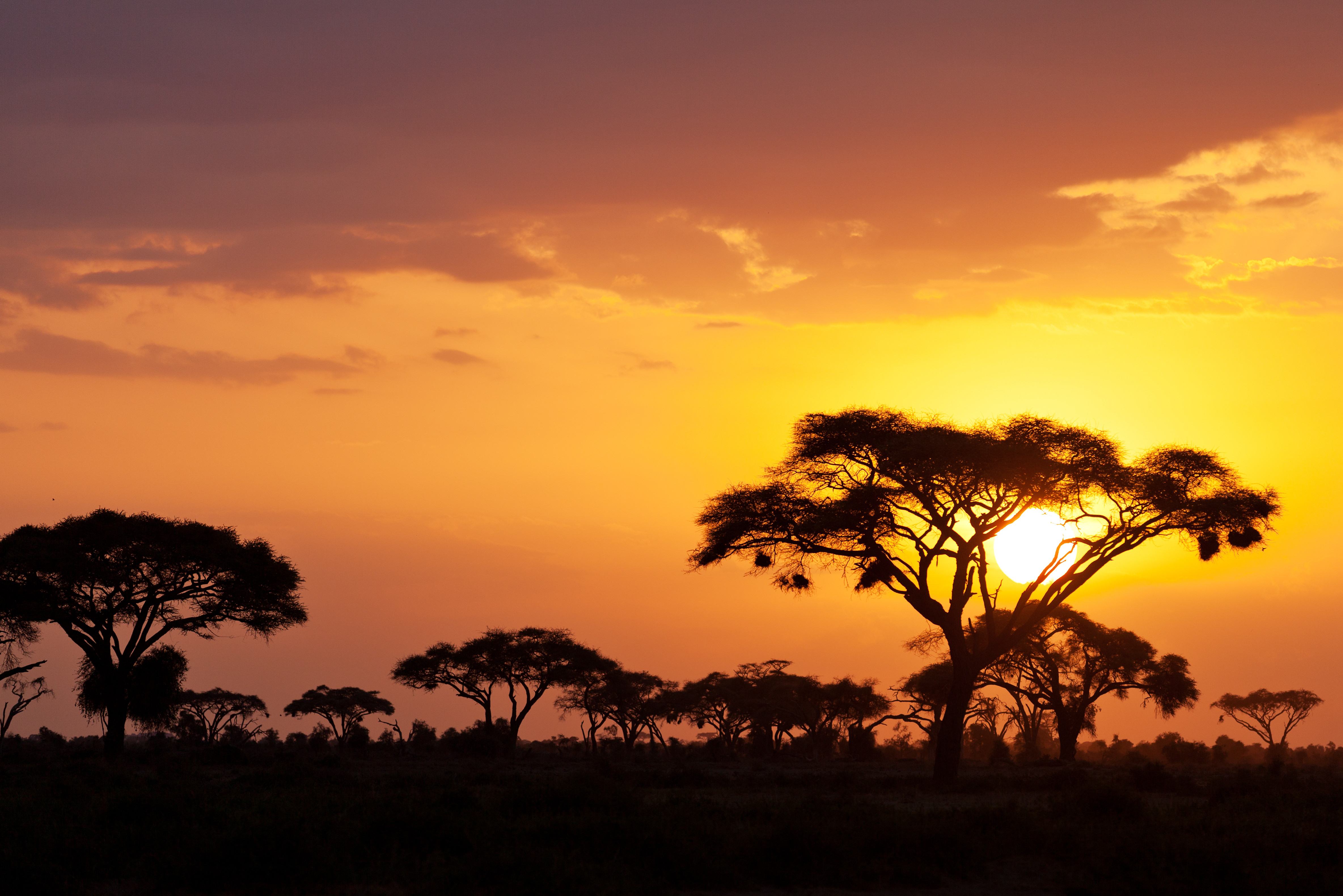 kenia-safari-rondreis-safari-kenia-highlights-14-dagen-333travel