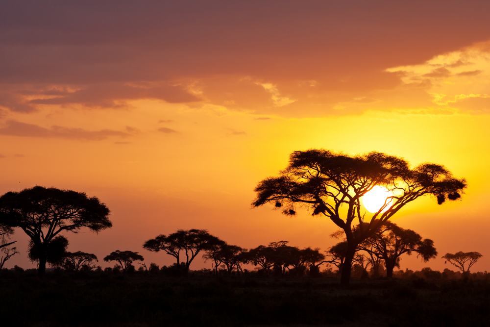 kenia safari costo