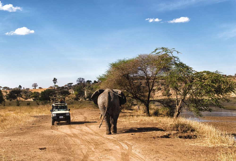 Safari tanzania highlights deluxe
