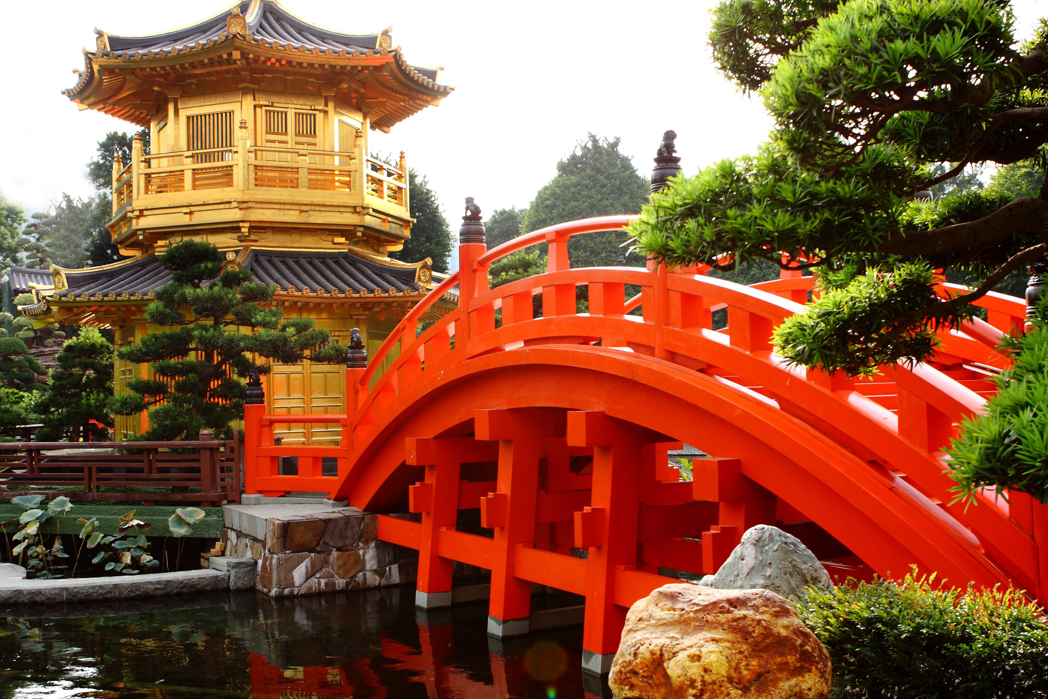 Thee tuin in Shanghai in China