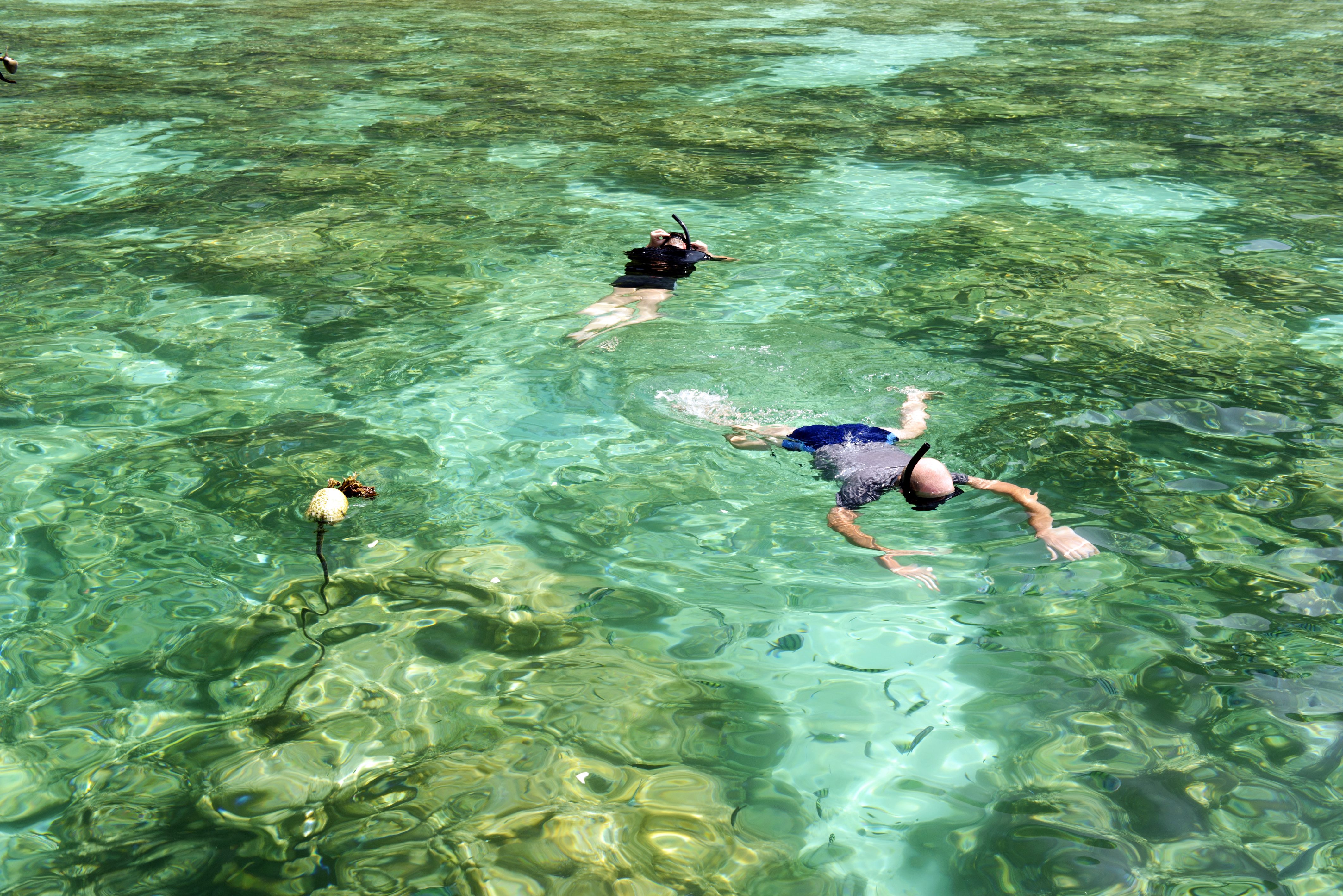 Snorkelen in de Andaman Zee in Thailand