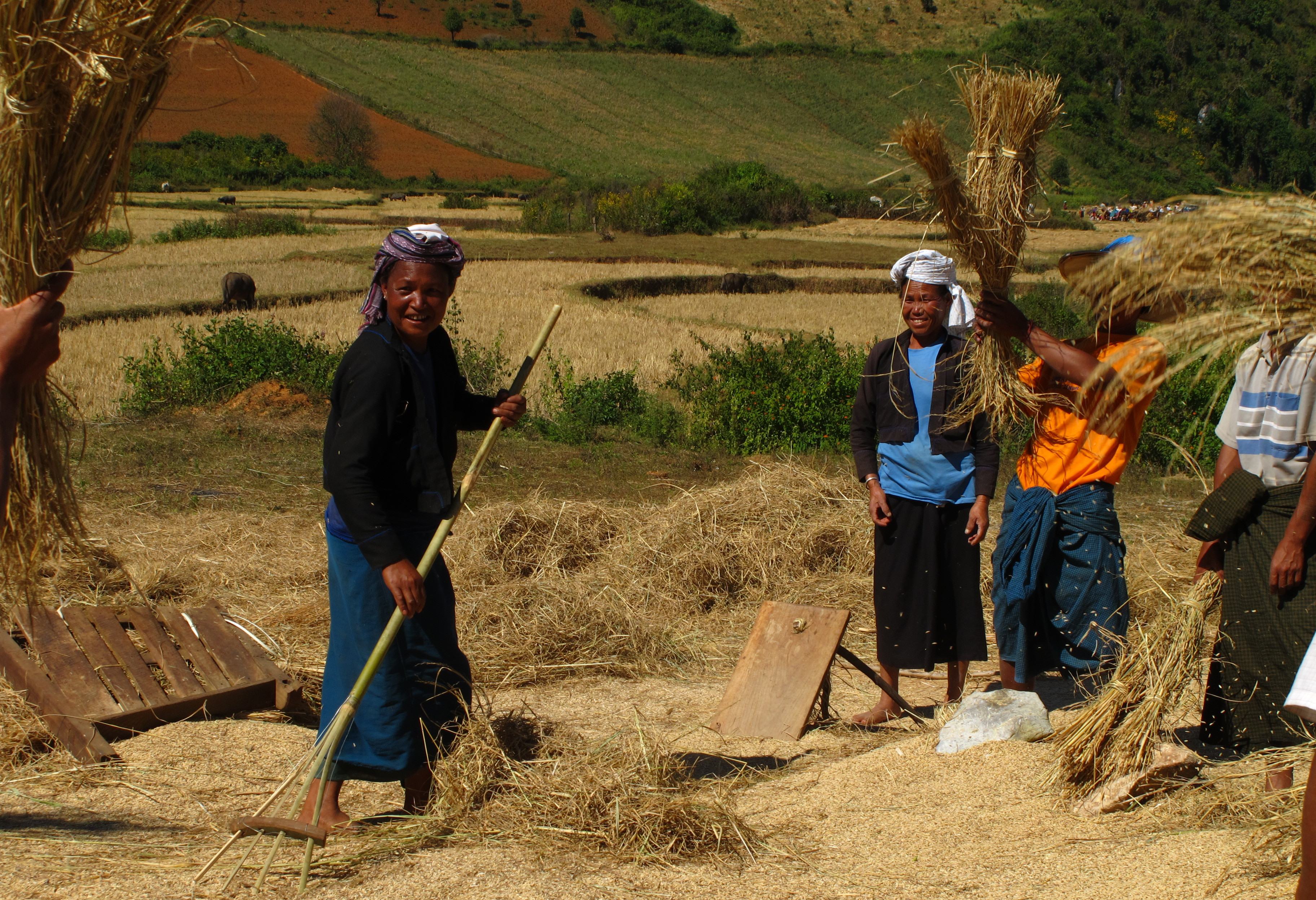 Trekking in Pindaya naar bergvolkeren
