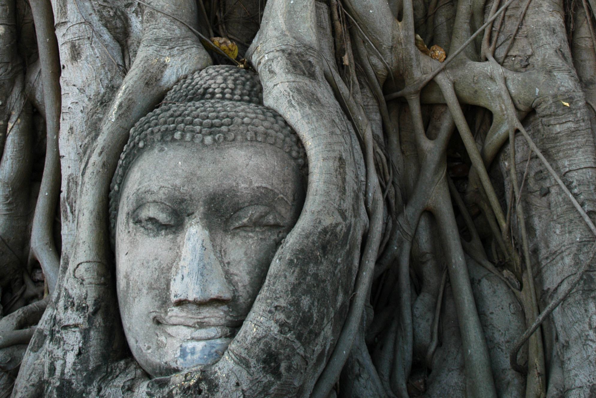 Wat Mahathat in het Historical Park in Ayutthaya, Thailand