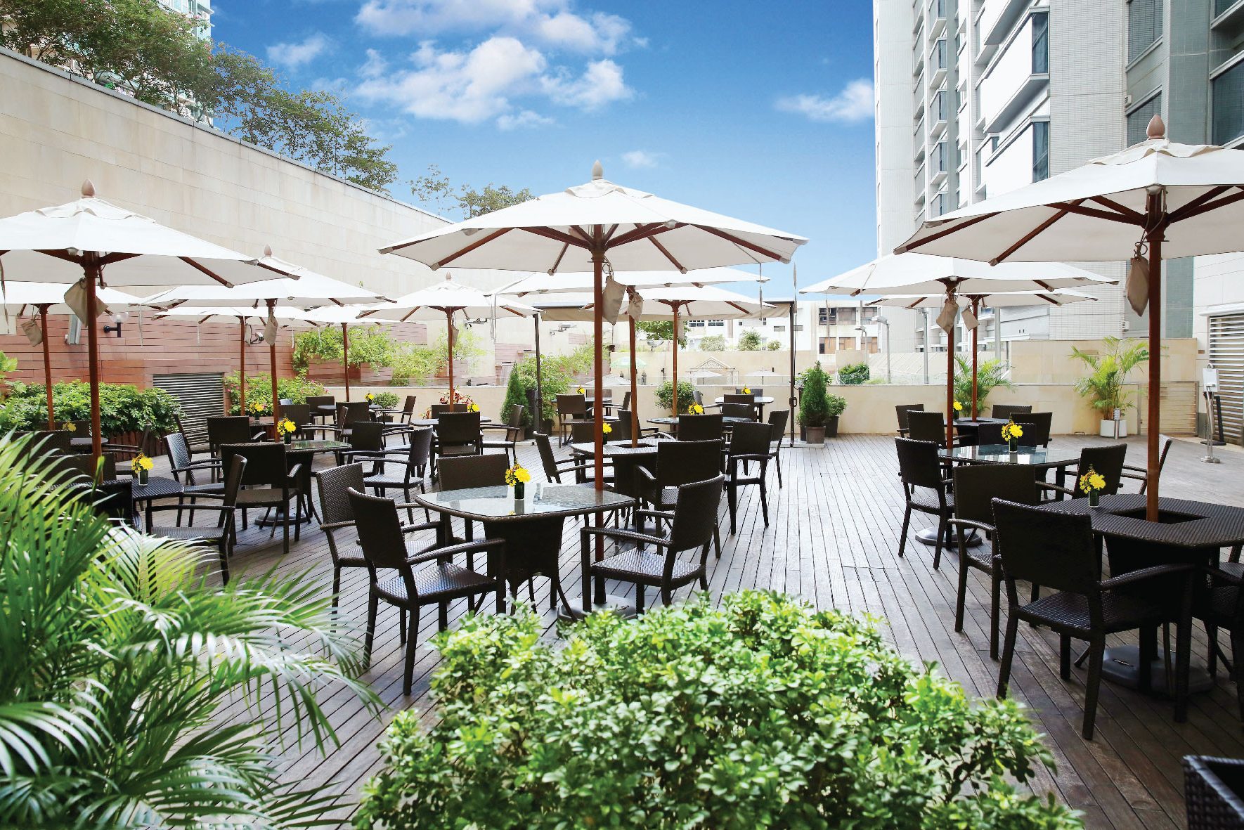 Harbour Plaza 8 degrees Hotel in China