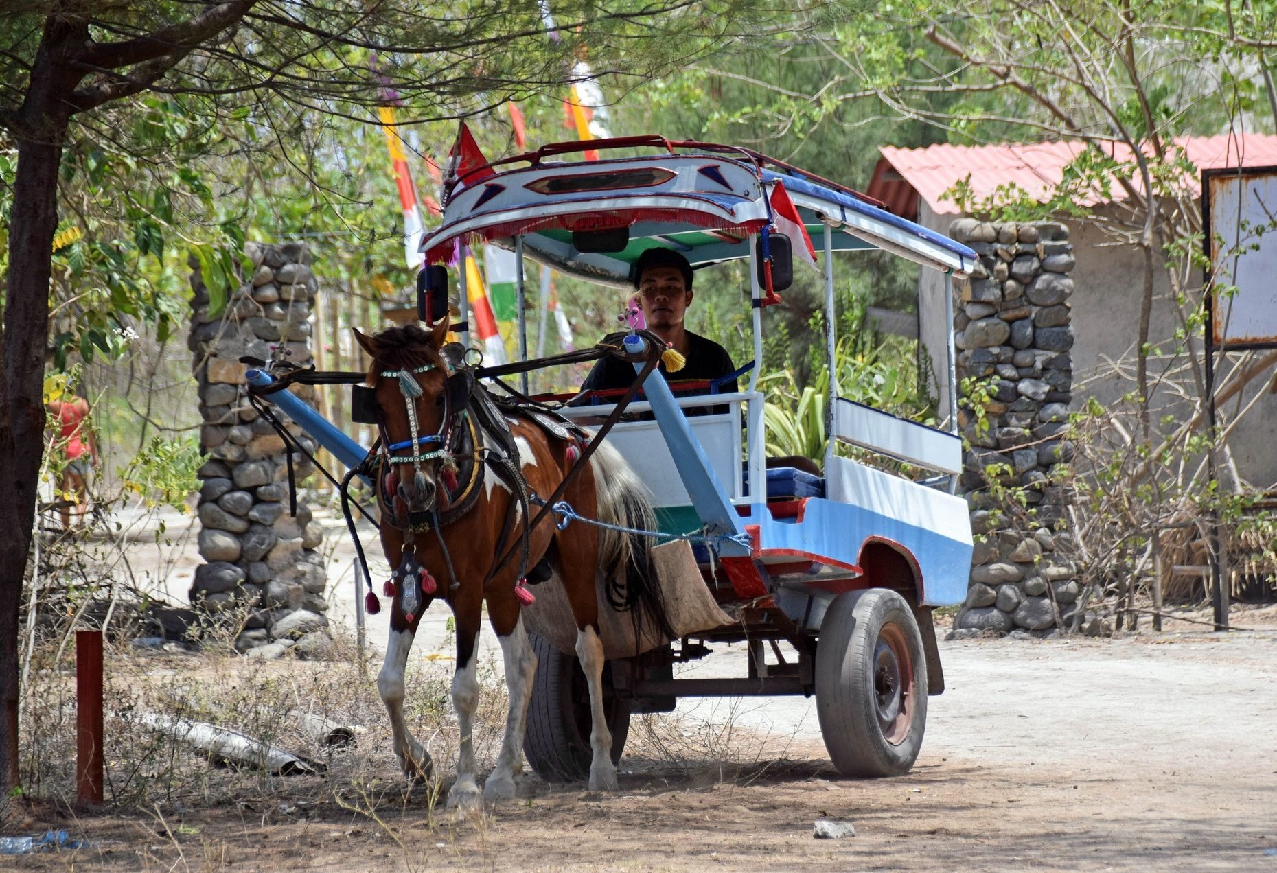 Gili Trawangan Vervoer per paardenkar